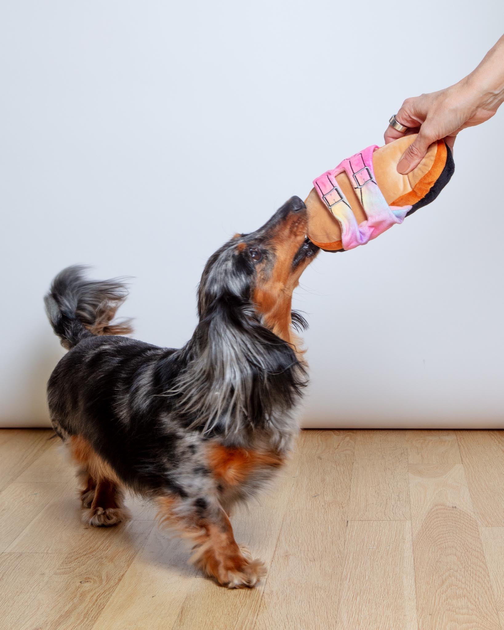 Barkenstock Rainbow Sandal Squeaky Dog Toy