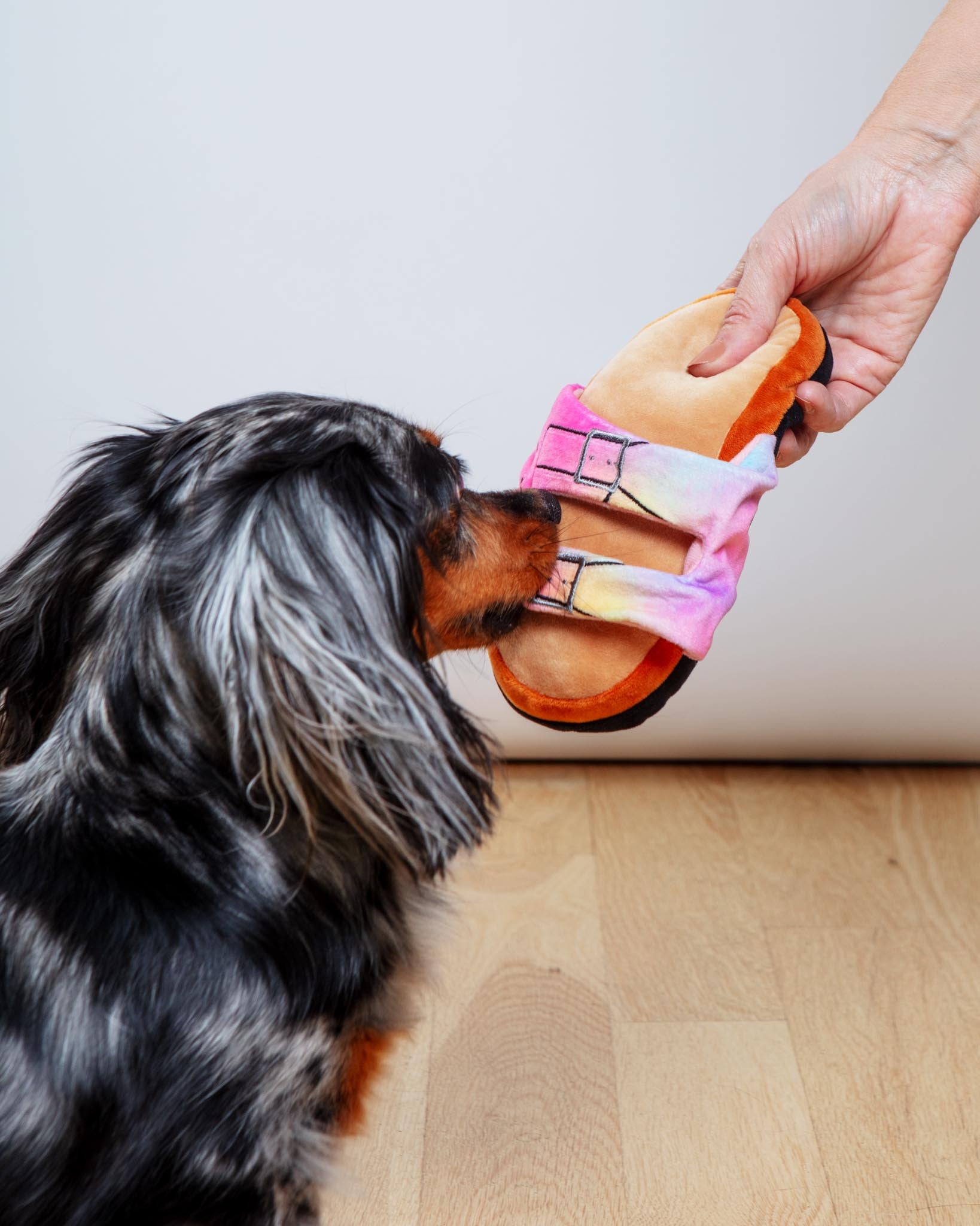 Barkenstock Rainbow Sandal Squeaky Dog Toy