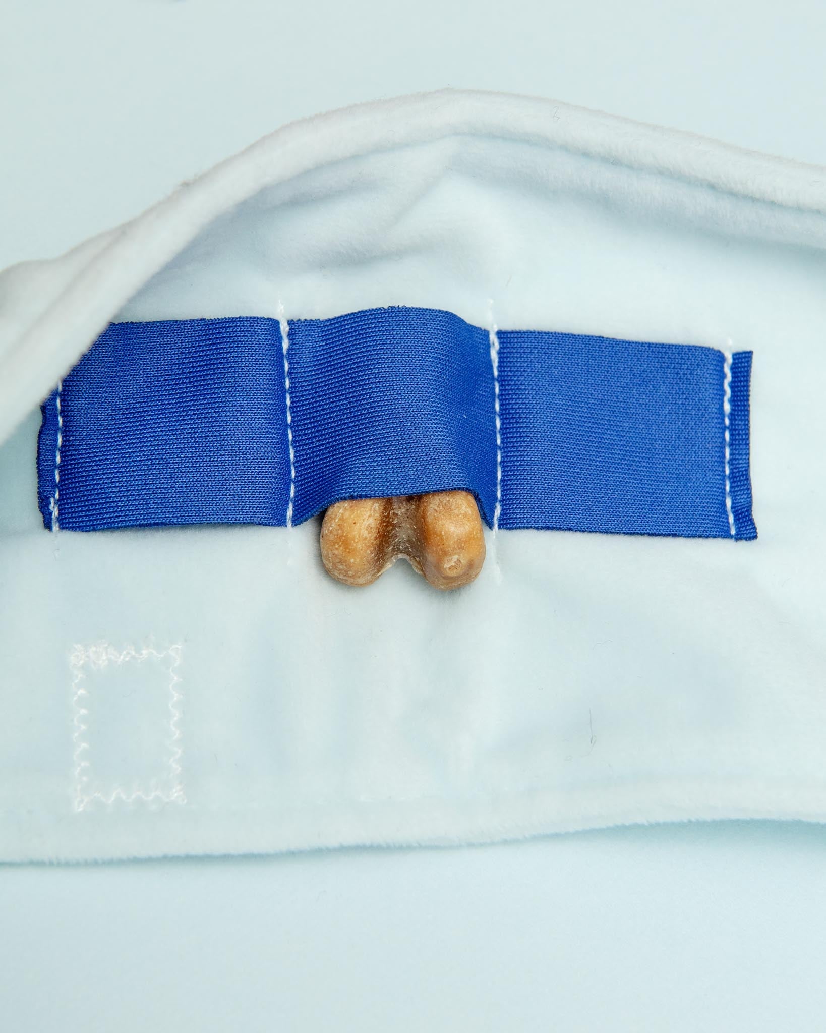 Toilet Paper Nosework Dog Toy