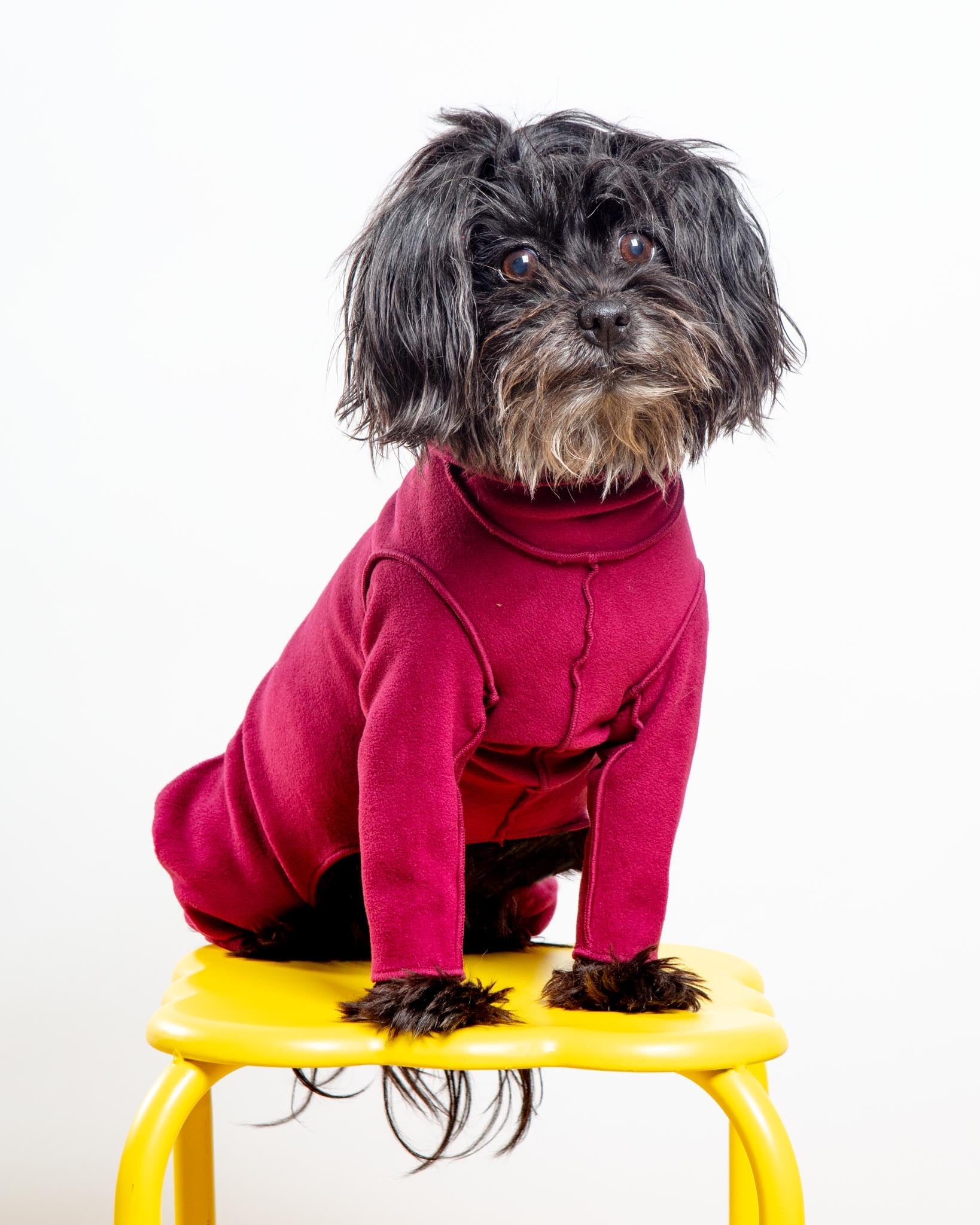 Stretch Fleece Onesie with Shawl Collar in Garnet (Made in the USA, DOG & CO. + GOLD PAW Exclusive!)