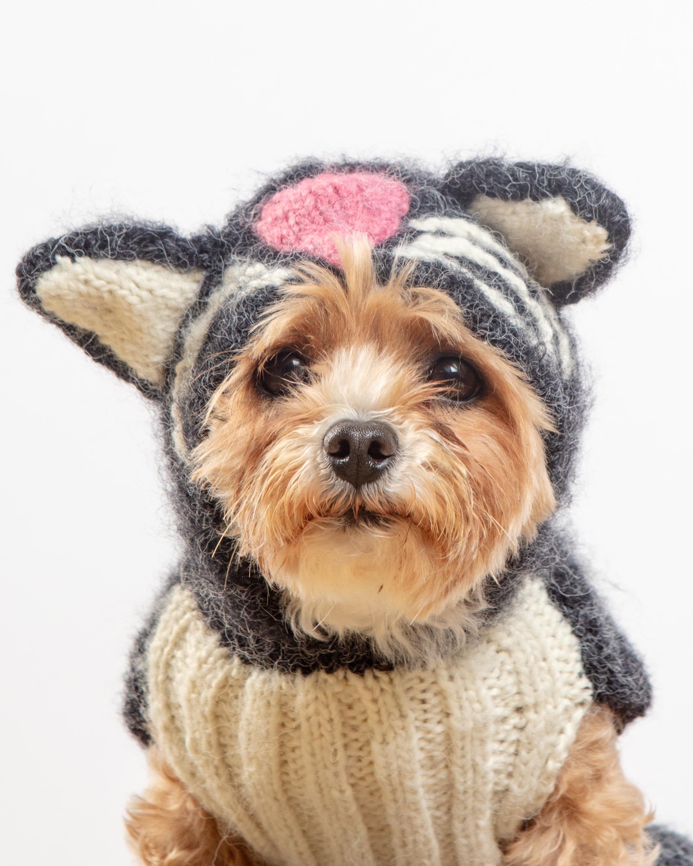 Kitty-Kat Handknit Dog Sweater (DOG & CO. Exclusive)