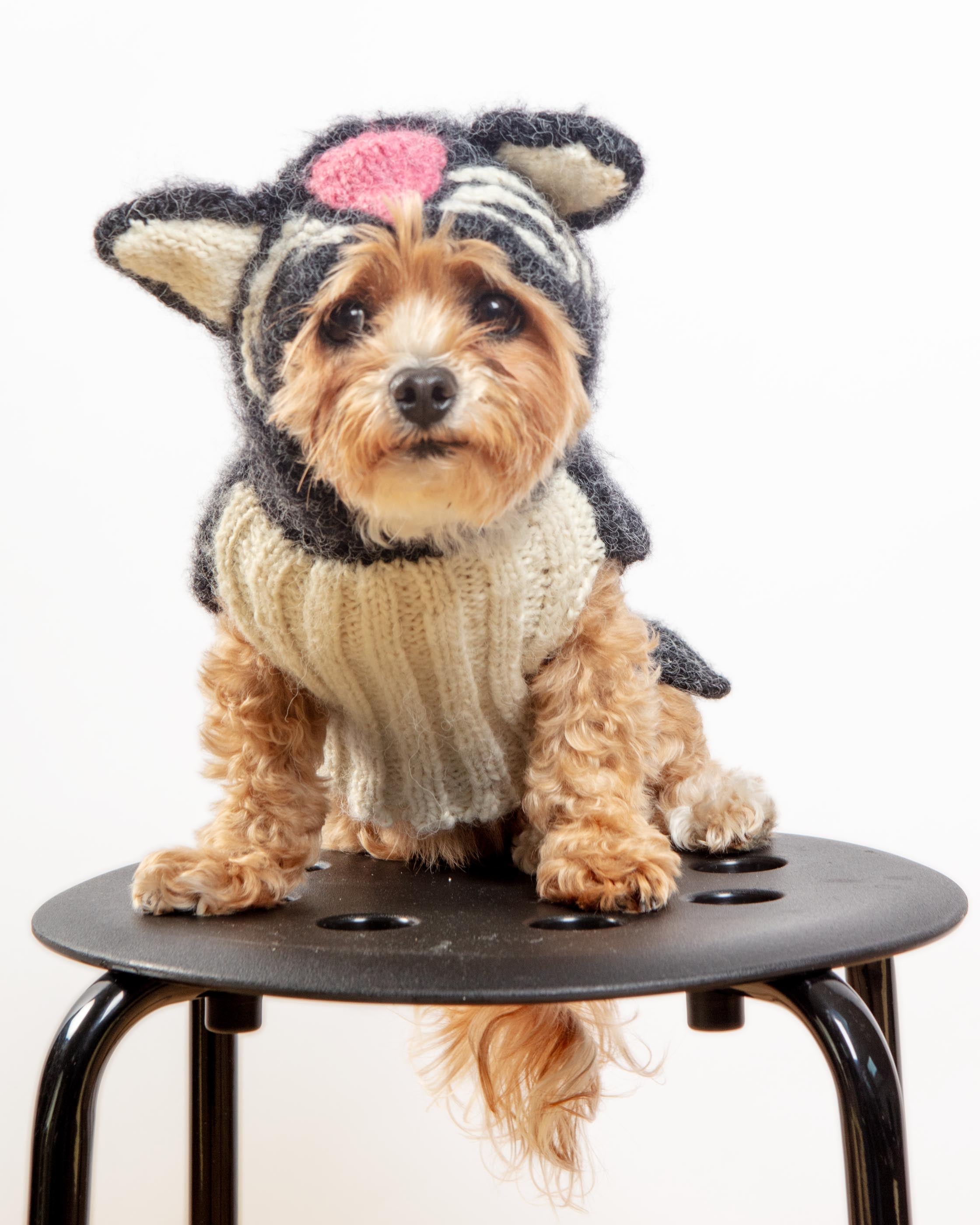 Kitty-Kat Handknit Dog Sweater (DOG & CO. Exclusive)
