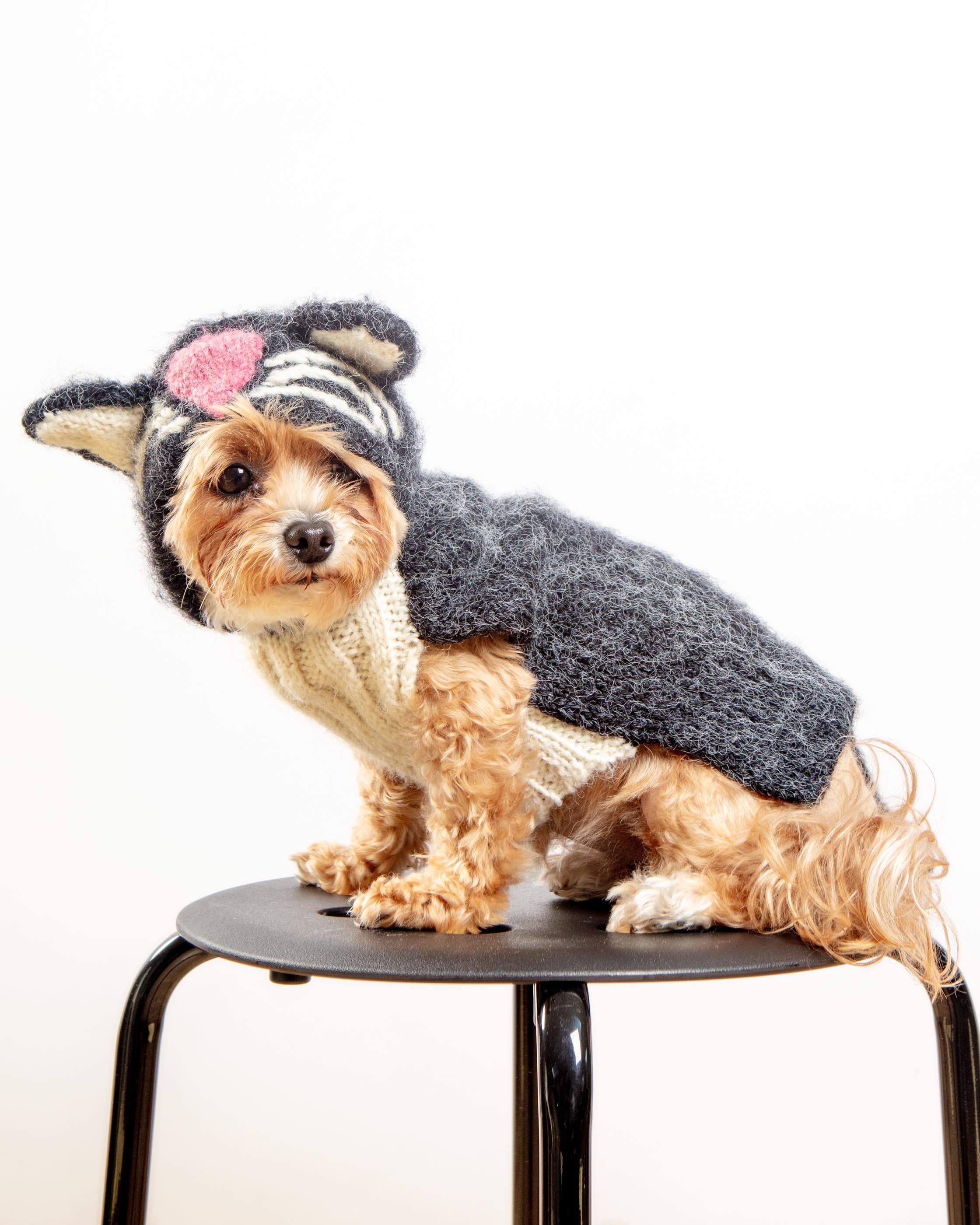 Kitty-Kat Handknit Dog Sweater (DOG & CO. Exclusive)