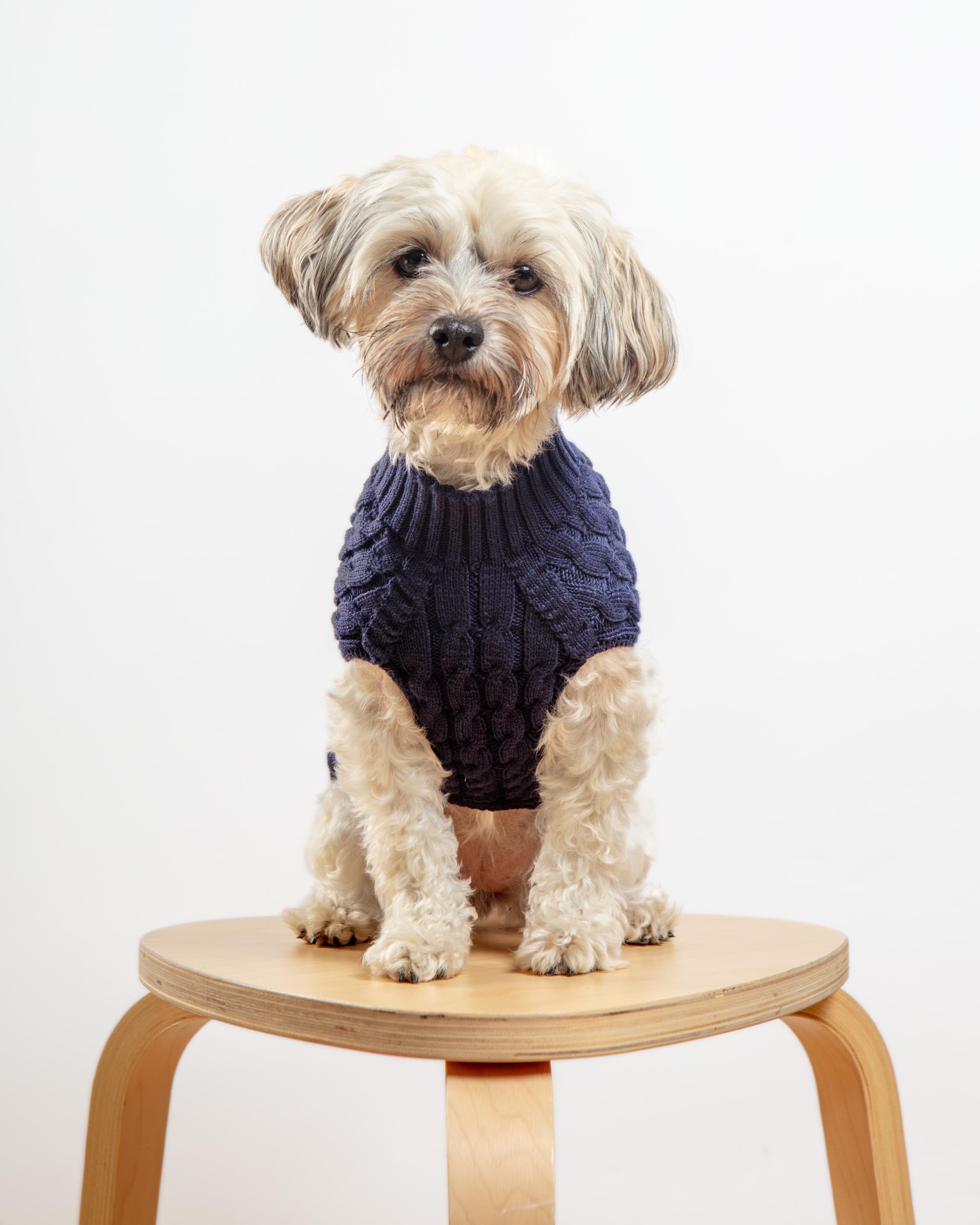 The Uptown Cable Knit Sweater in Navy Blue Cotton (Made in NYC)