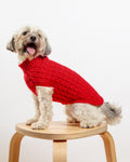 The Uptown Cable Knit Sweater in Red Cotton (Made in NYC)