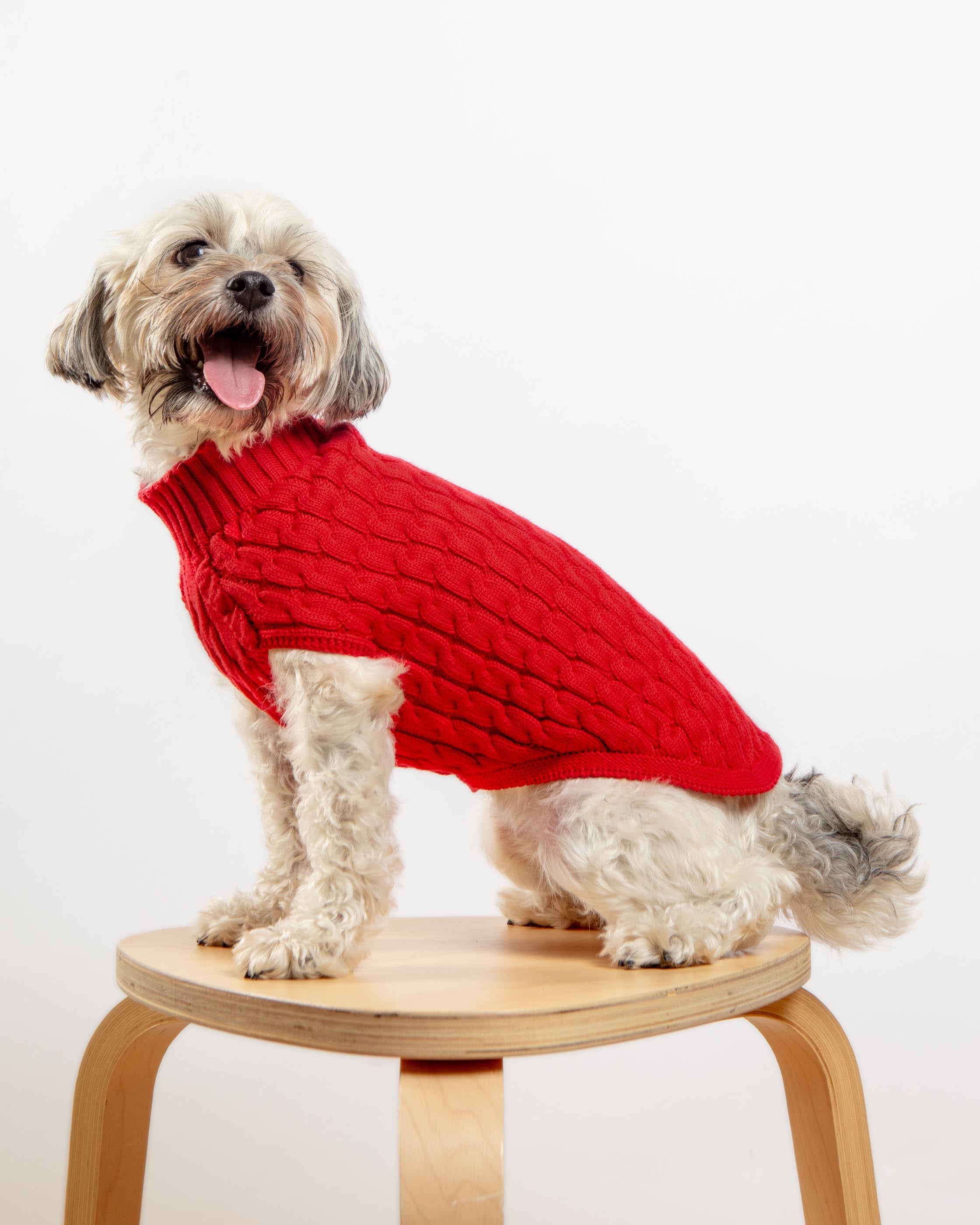 The Uptown Cable Knit Sweater in Red Cotton (Made in NYC)