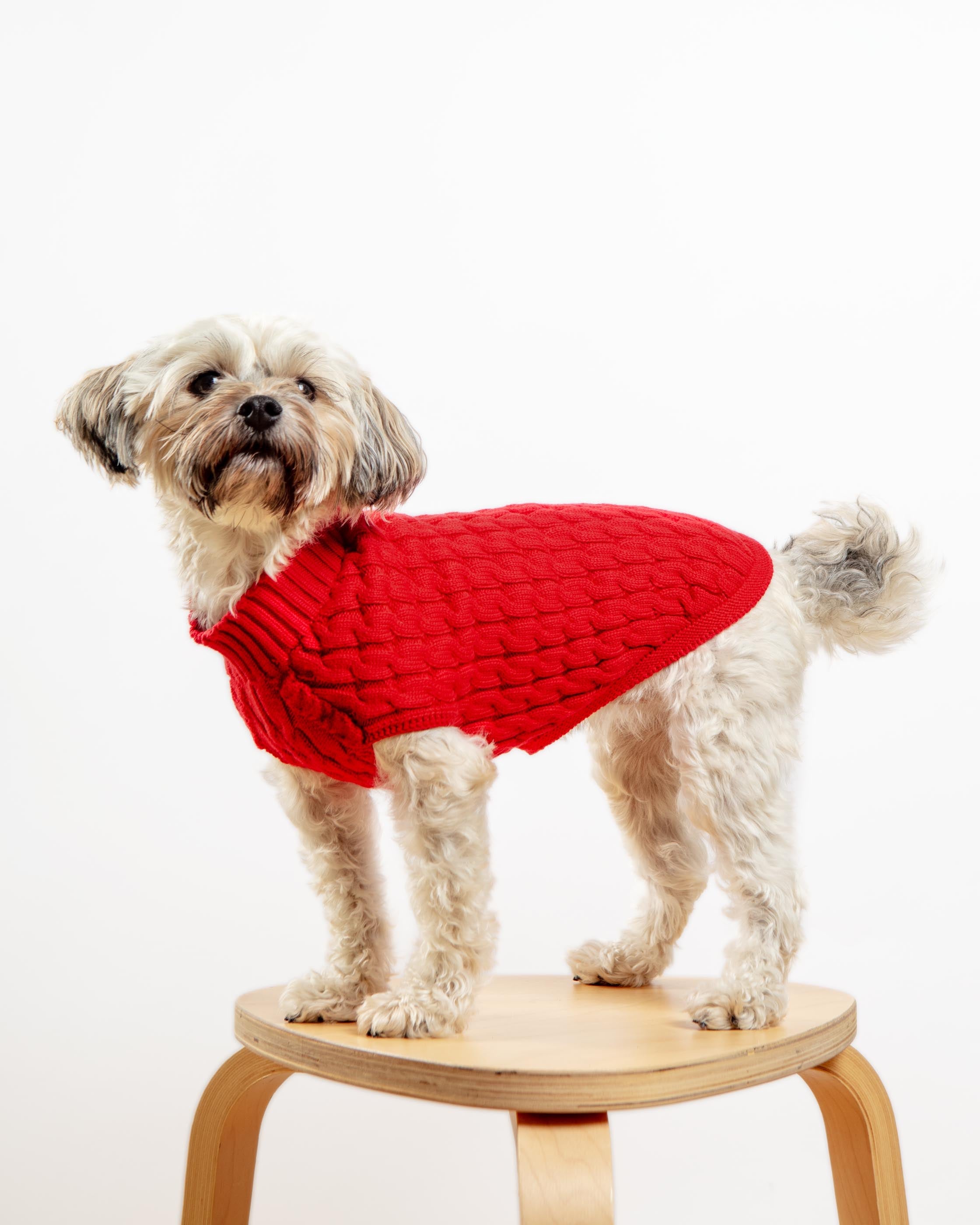 The Uptown Cable Knit Sweater in Red Cotton (Made in NYC)