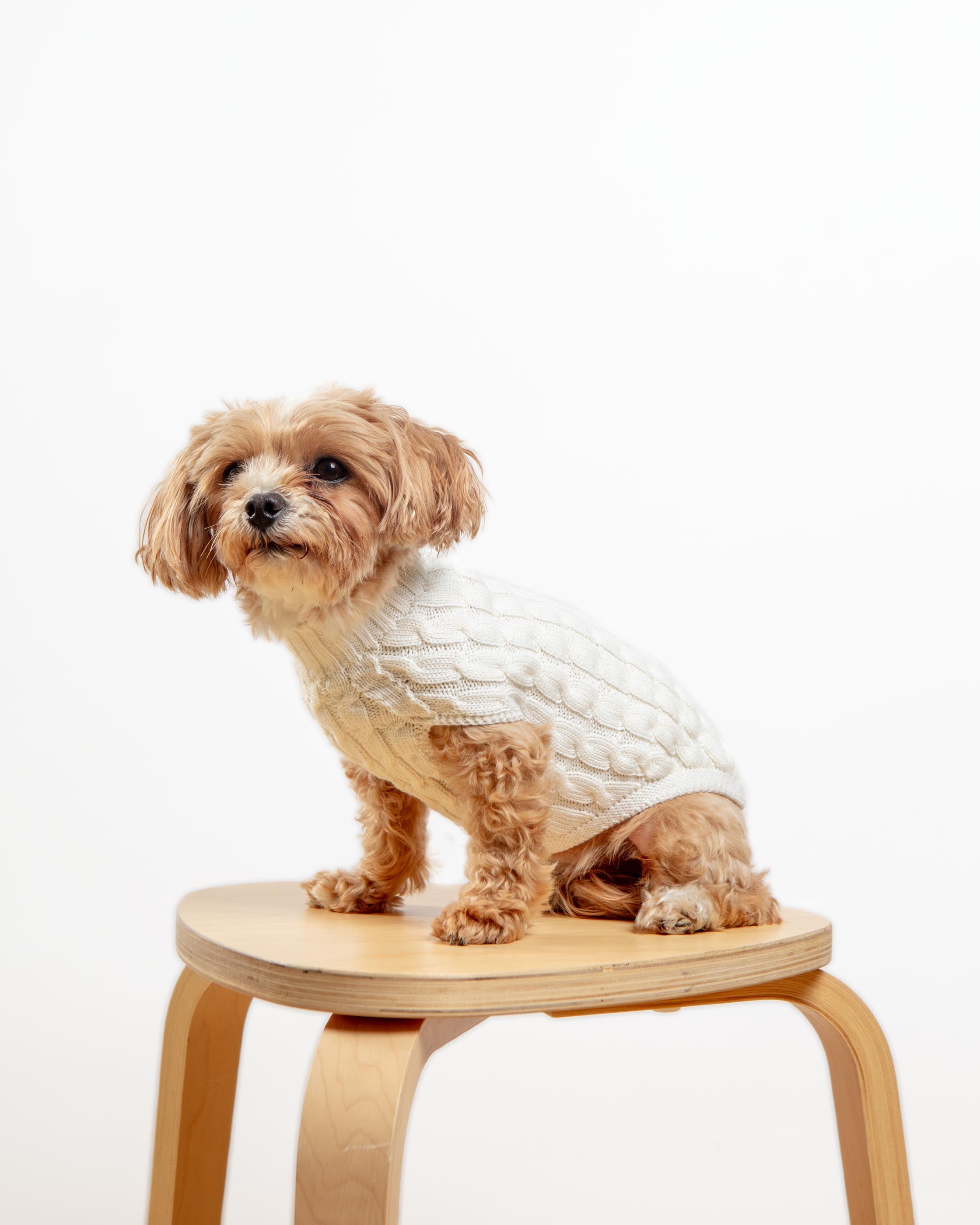 The Uptown Cable Knit Sweater in Natural Merino Wool (Made in NYC)