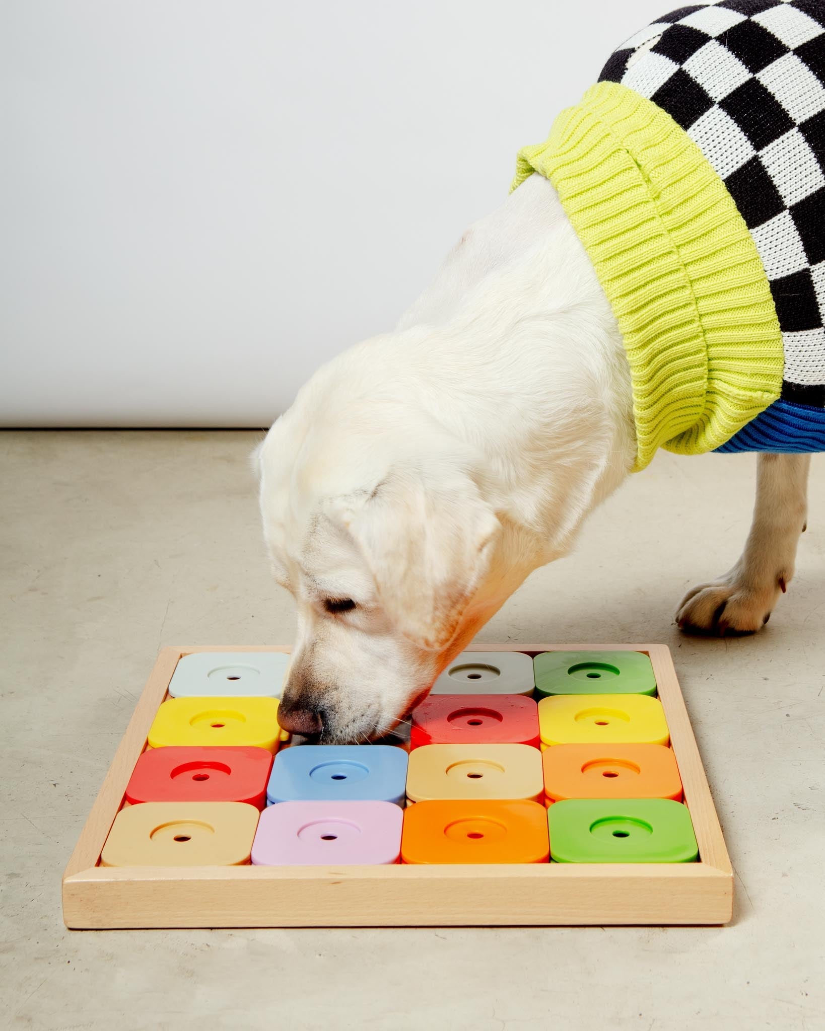 Sudoku Dog Treat Puzzle Game in Rainbow Edition (16 squares)