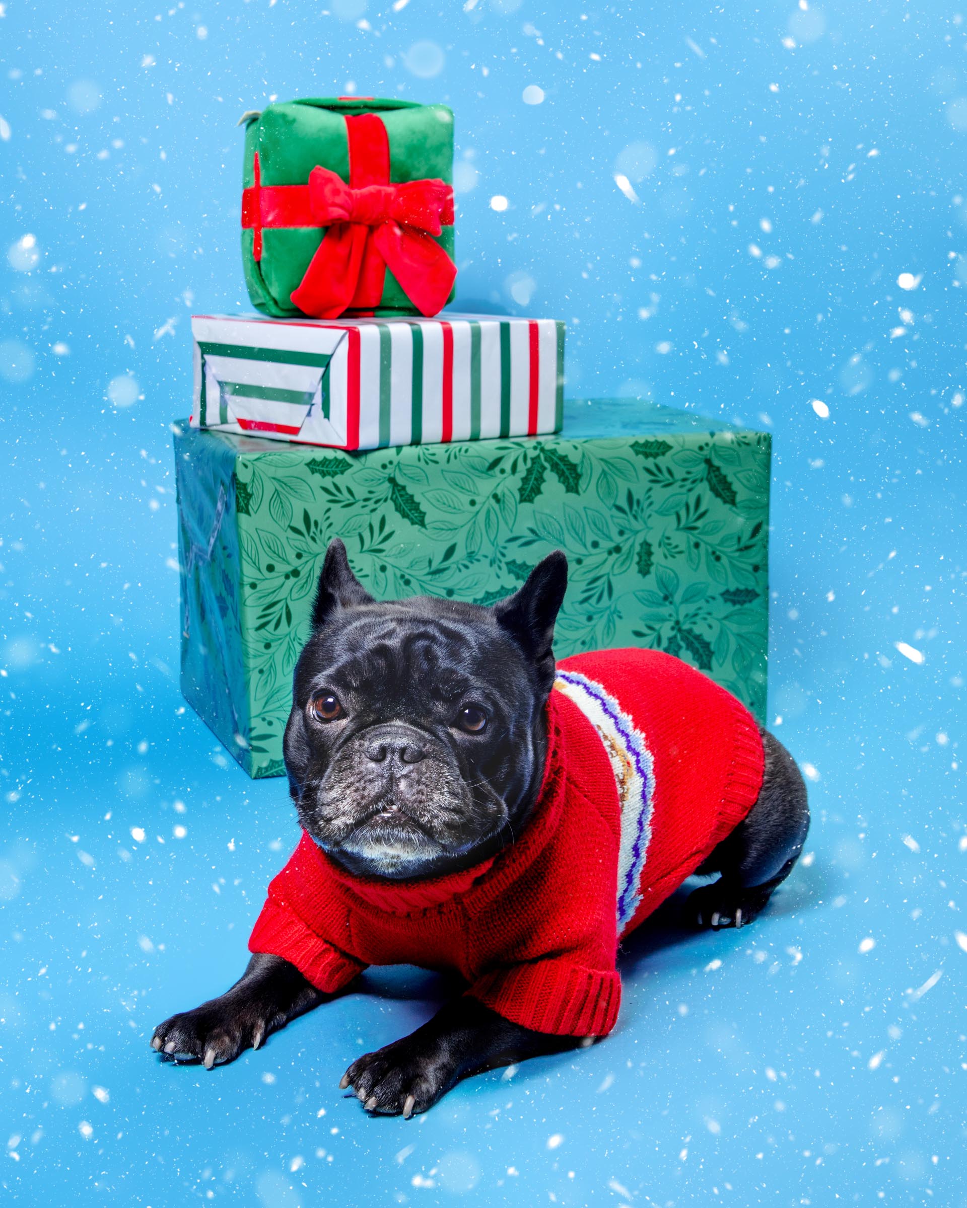 Reindeer Fair Isle Dog Sweater