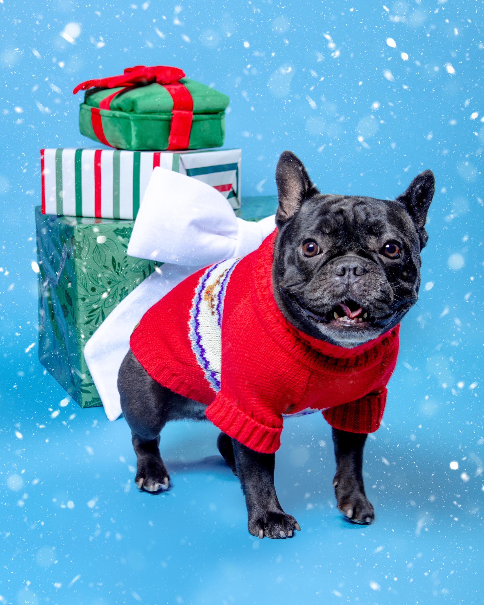 Reindeer Fair Isle Dog Sweater