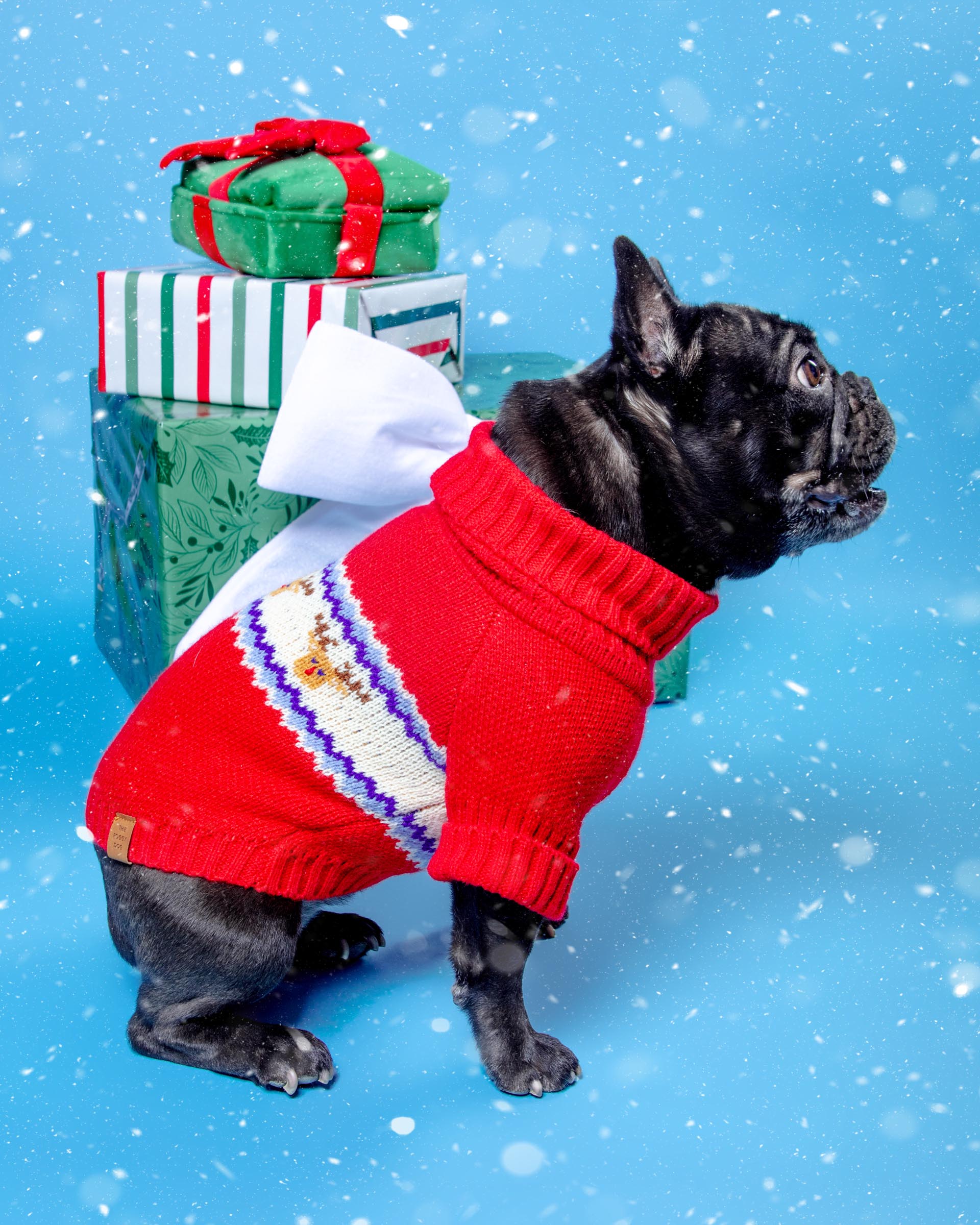 Reindeer Fair Isle Dog Sweater