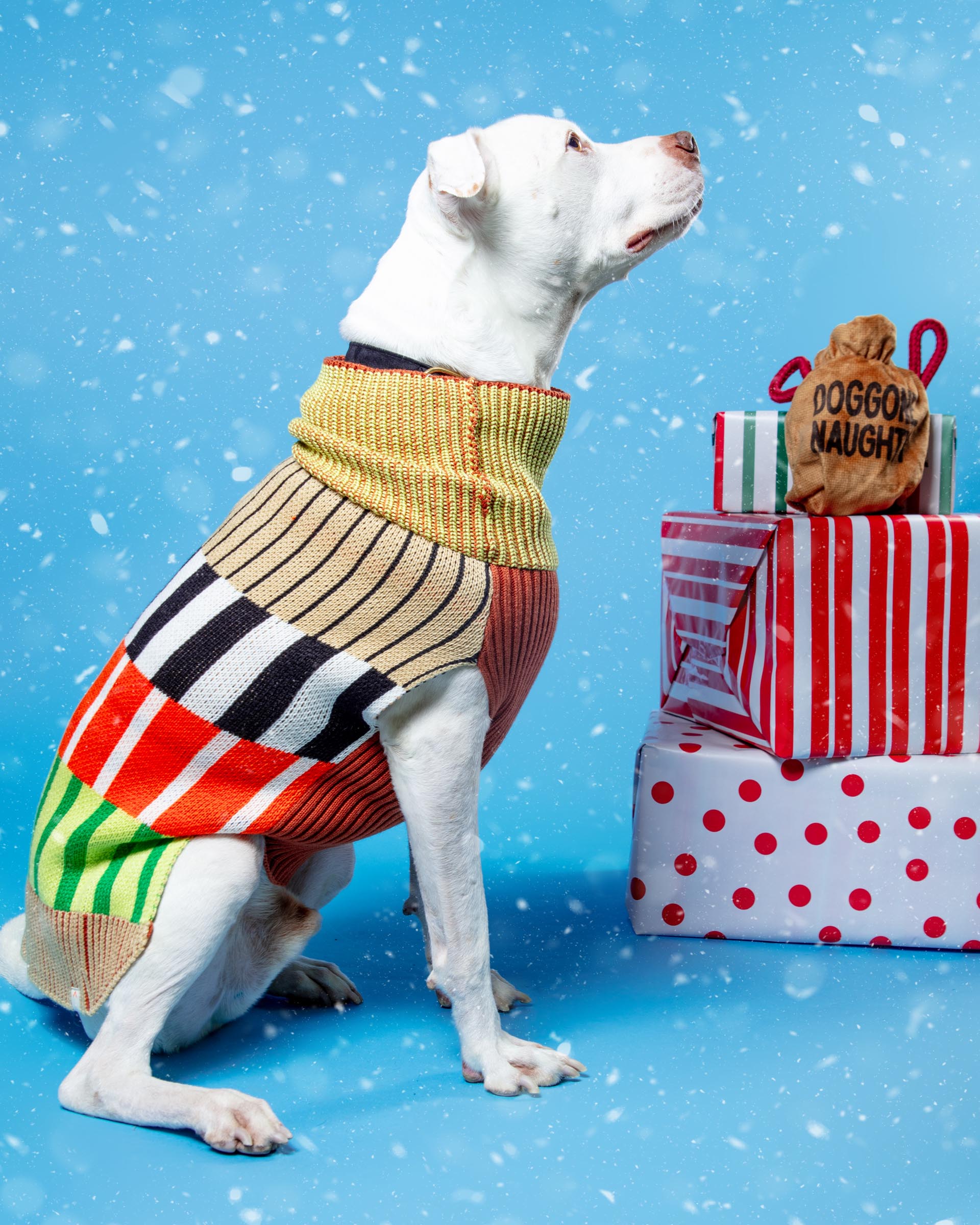 Patchwork Stripe Dog Sweater