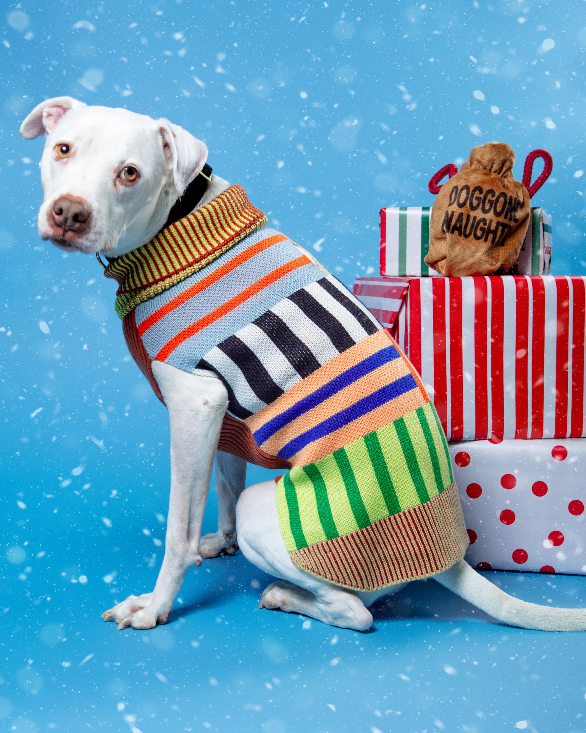 Patchwork Stripe Dog Sweater