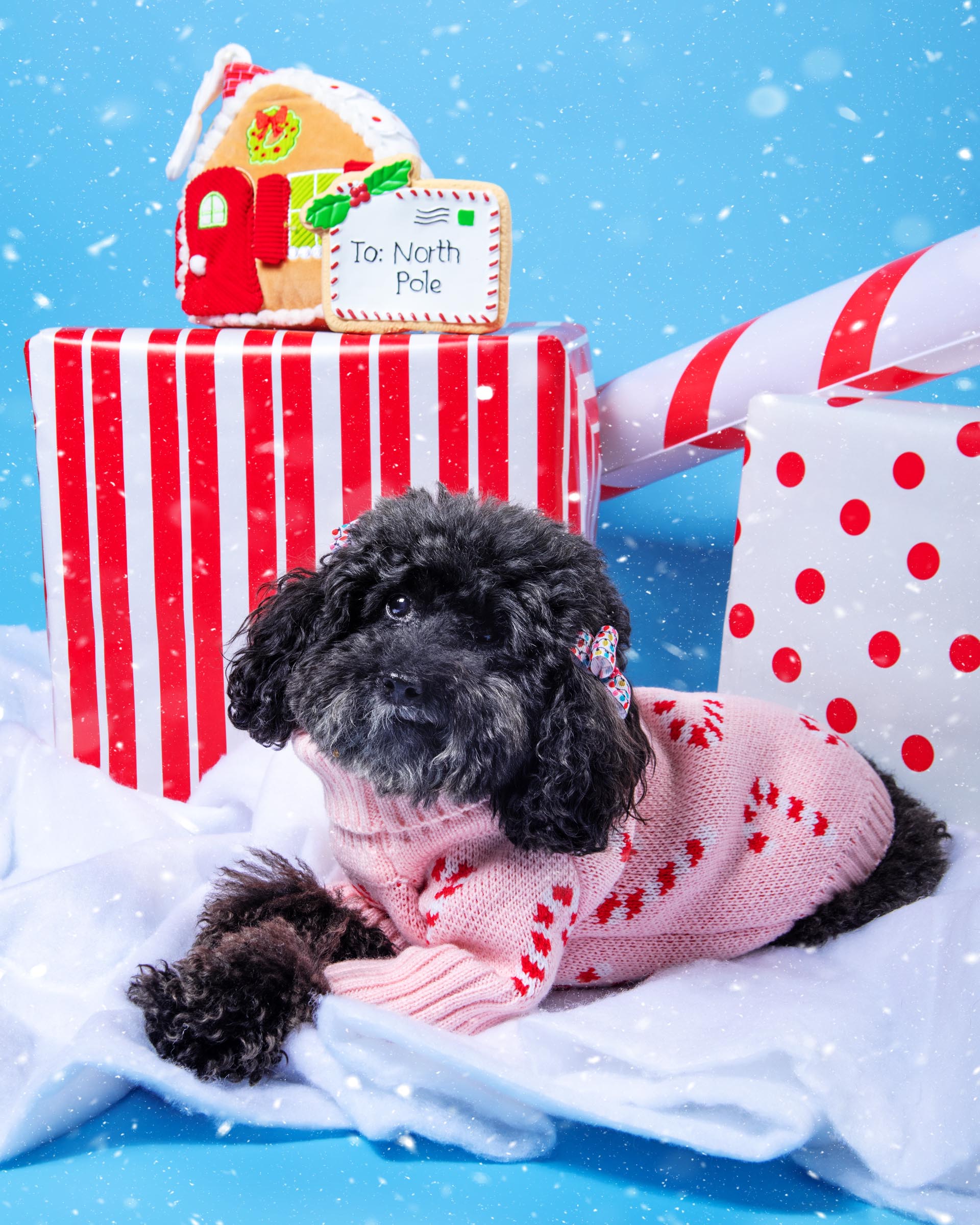 Pink Candy Cane Dog Sweater