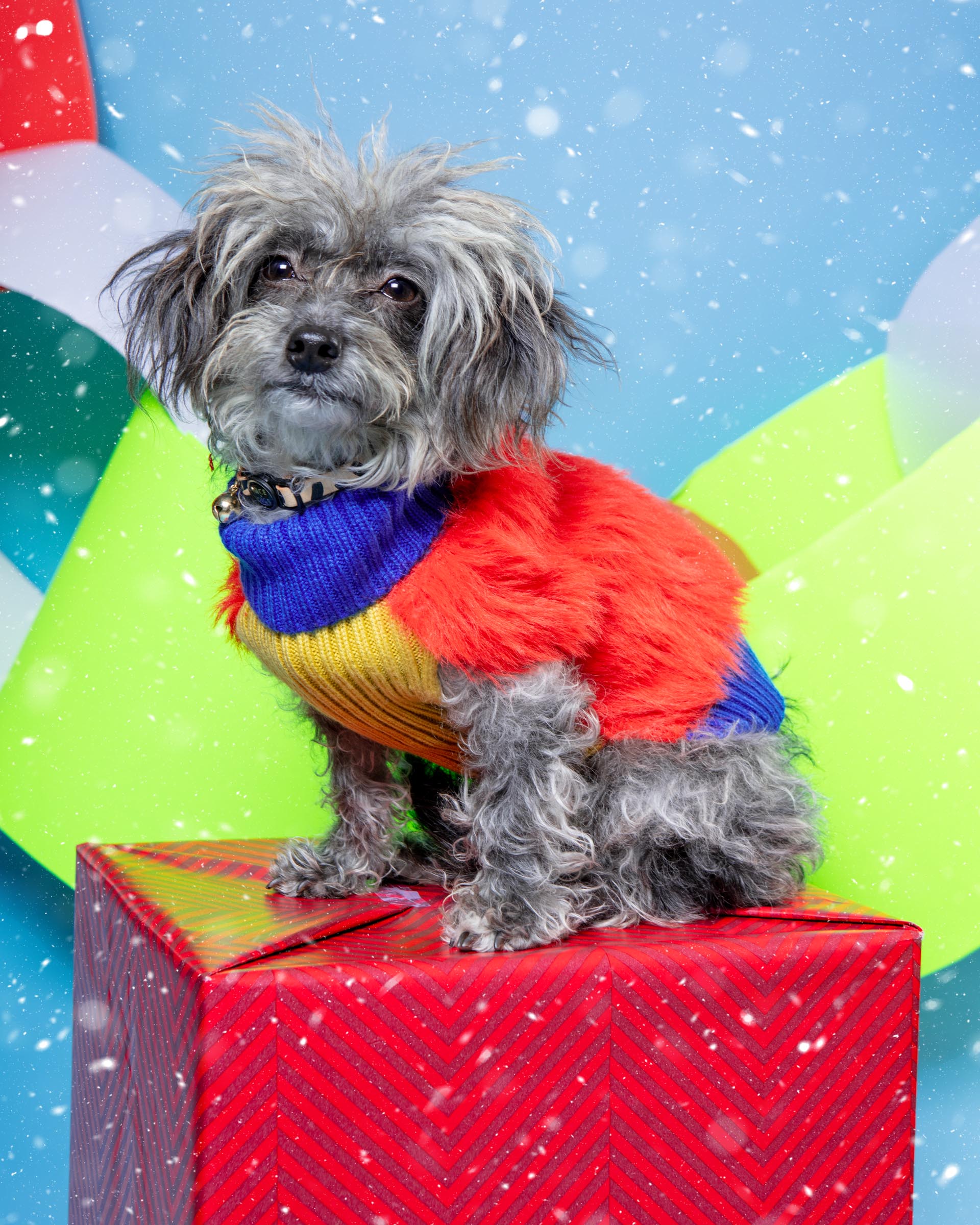 Faux Fur Dog Sweater in Poppy