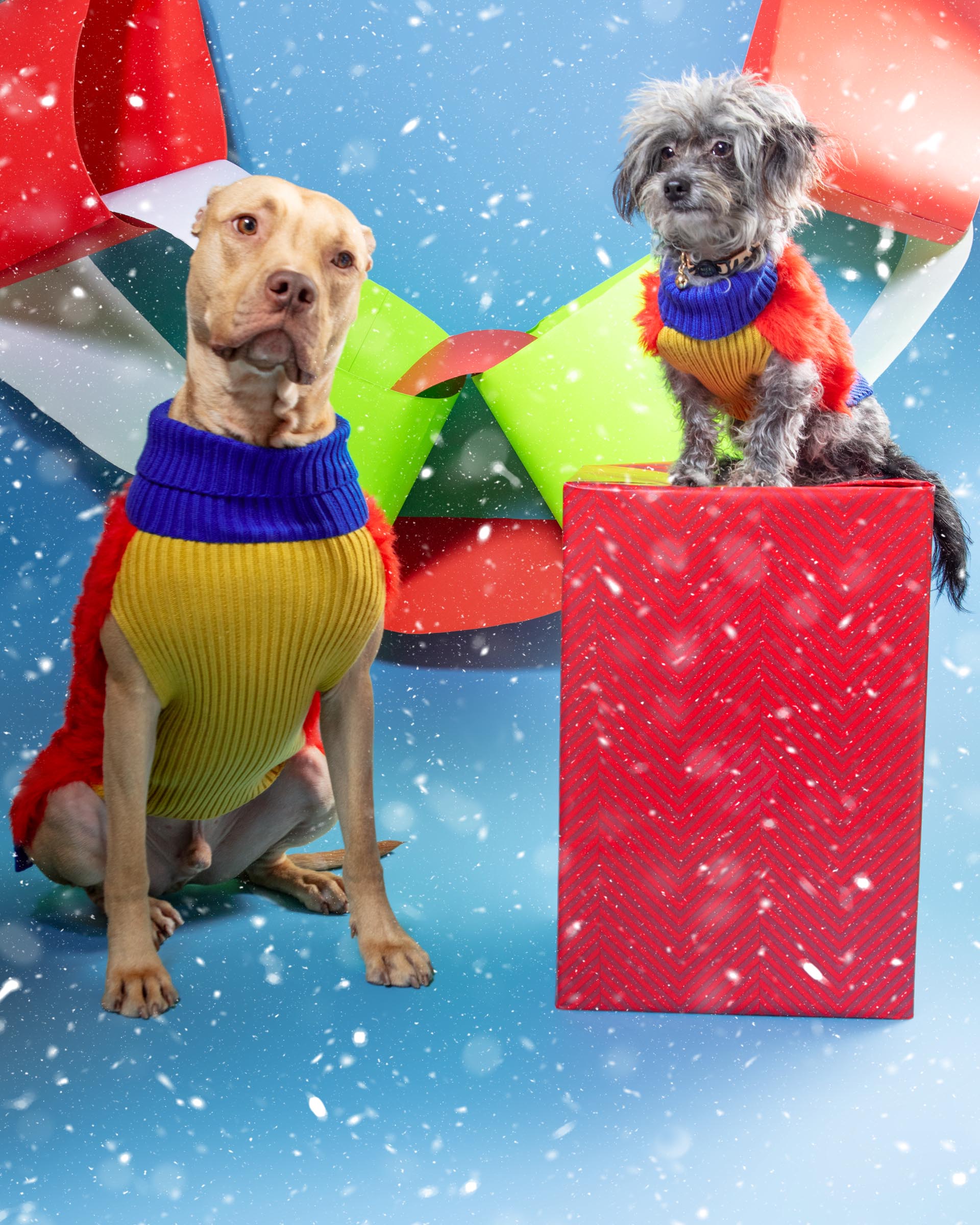 Faux Fur Dog Sweater in Poppy