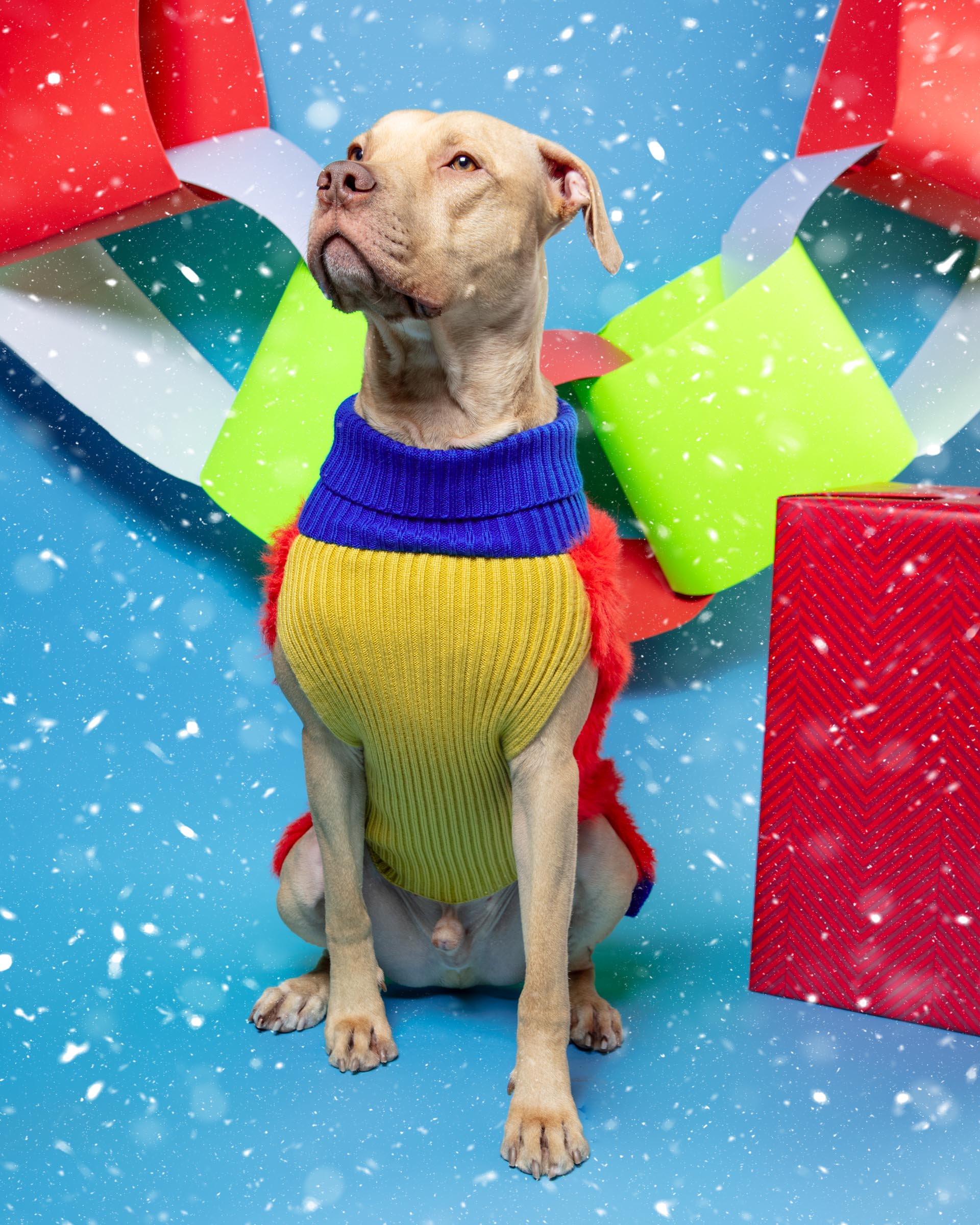 Faux Fur Dog Sweater in Poppy