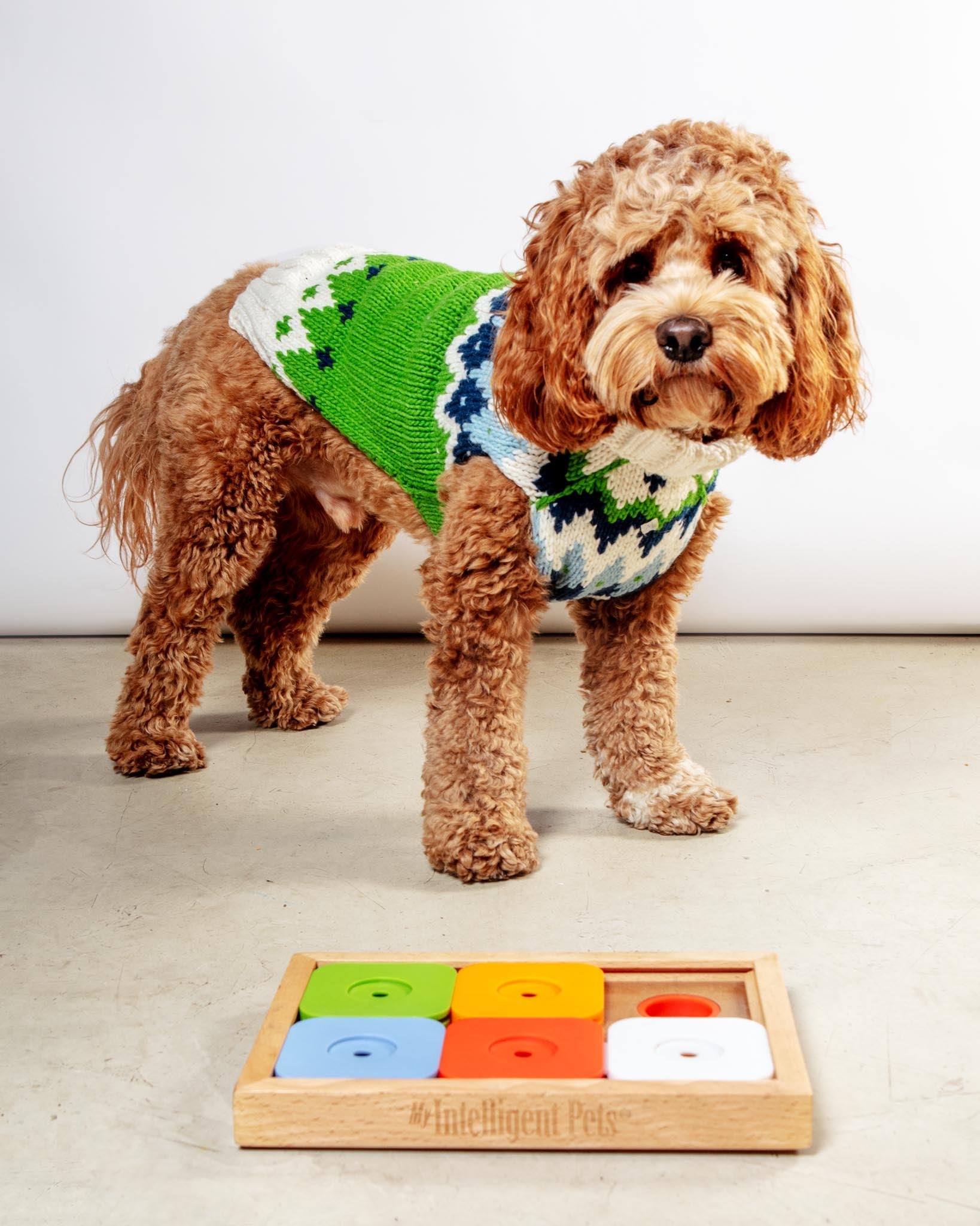 Sudoku Dog Treat Puzzle Game in Rainbow Edition (6 squares)