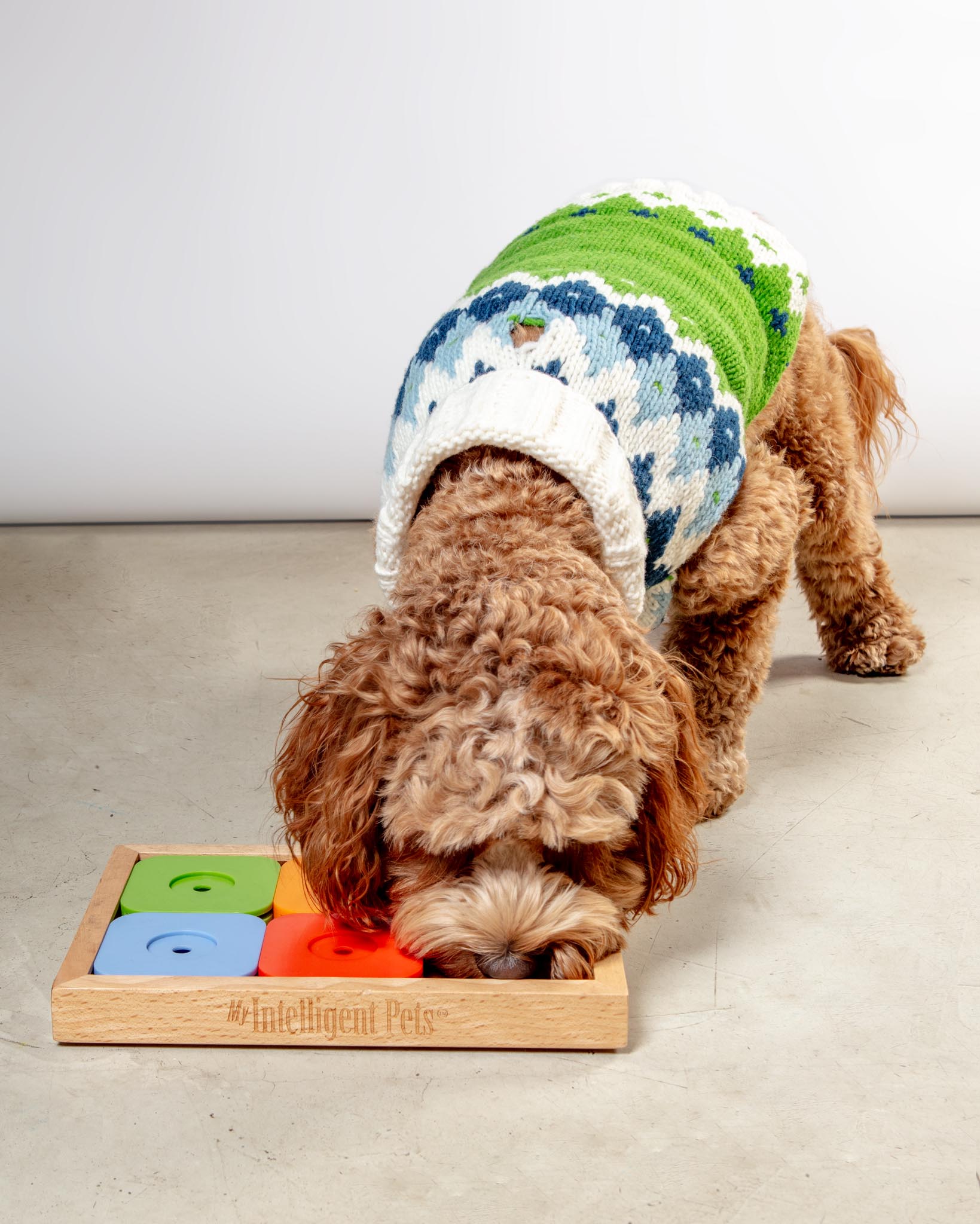 Sudoku Dog Treat Puzzle Game in Rainbow Edition (6 squares)