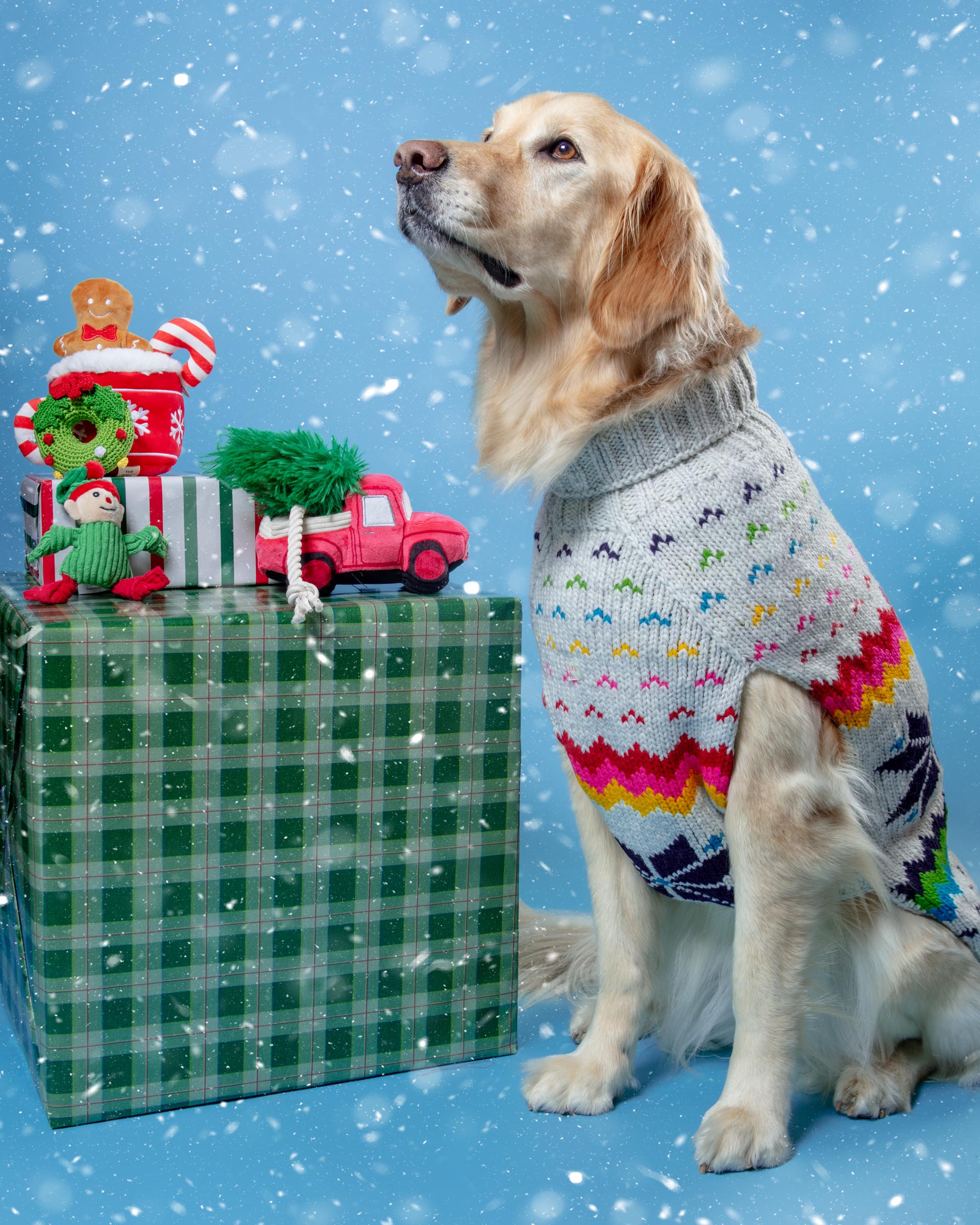 Rainbow Snowflake Wool Dog Sweater