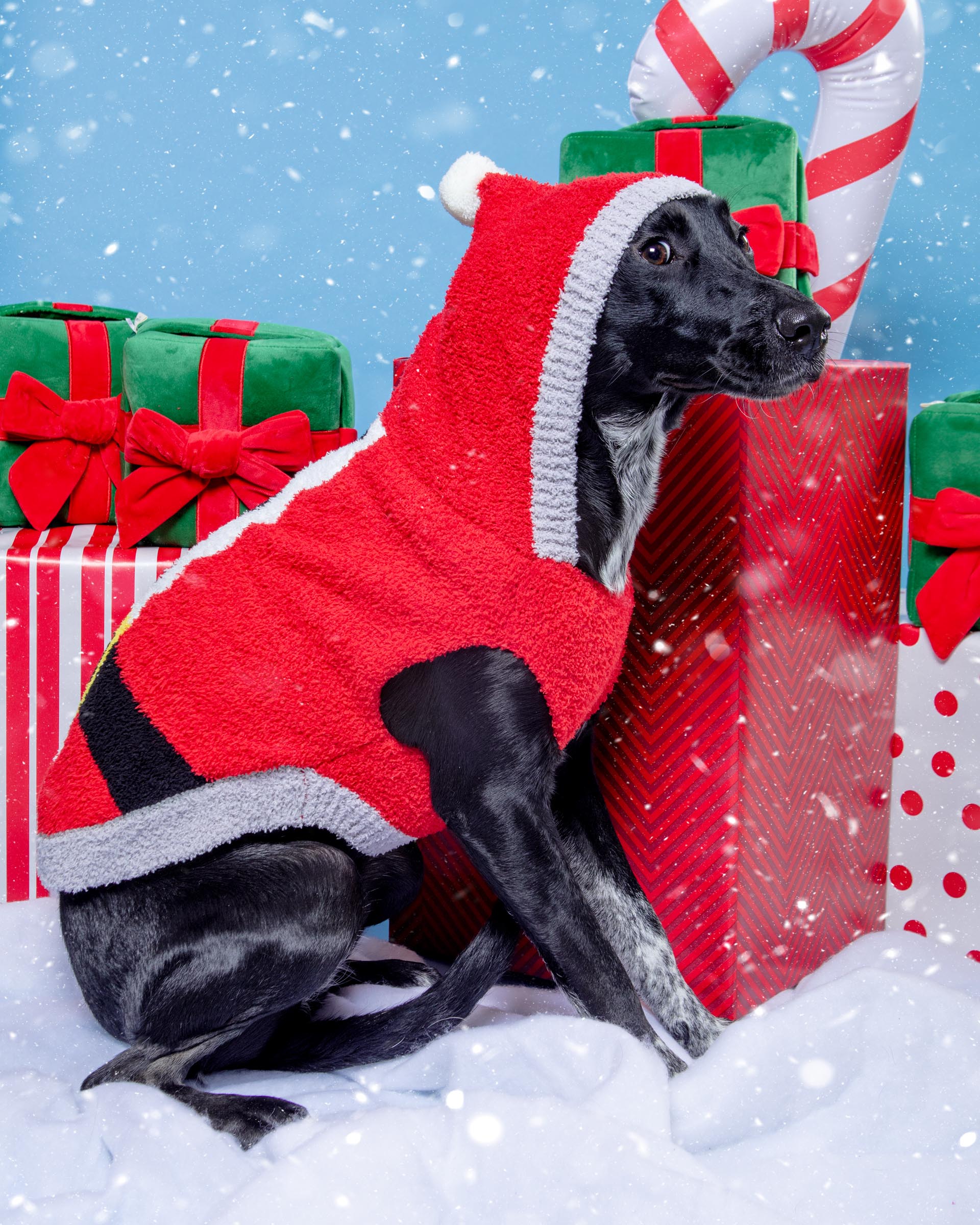 Chenille Santa Dog Hoodie