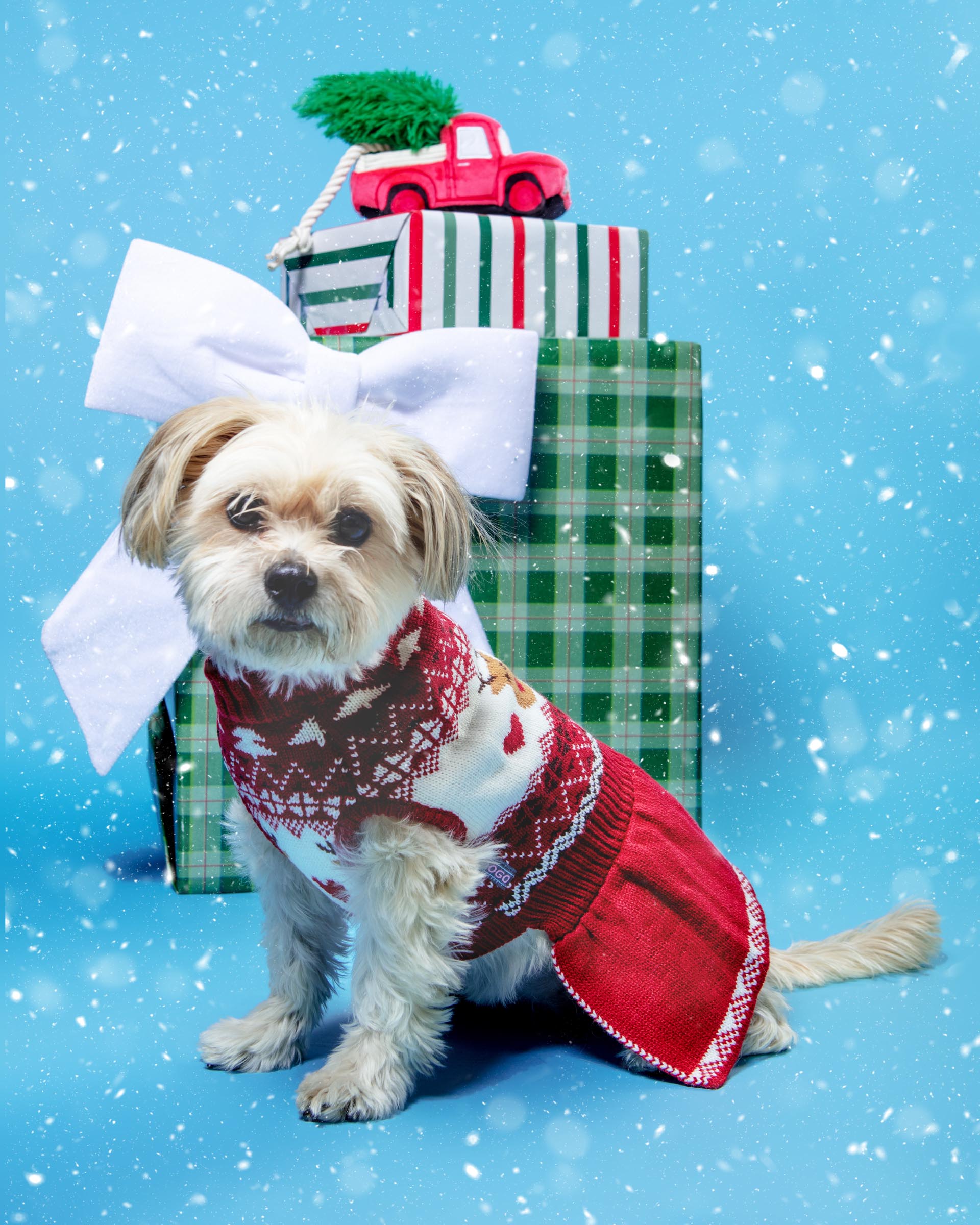 Reindeer Knit Sweater Dog Dress