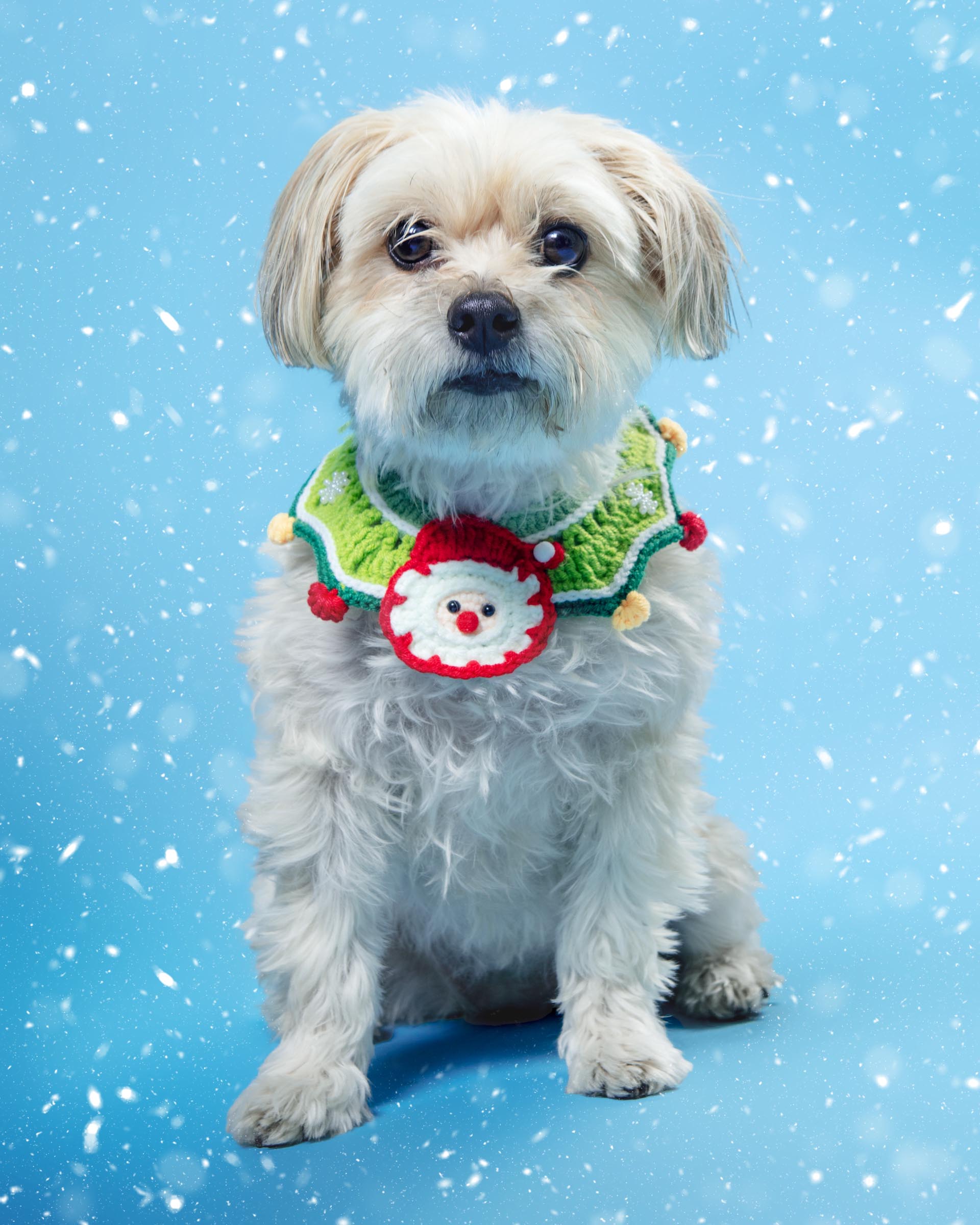 Santa in Snowflakes Crochet Pet Bandana