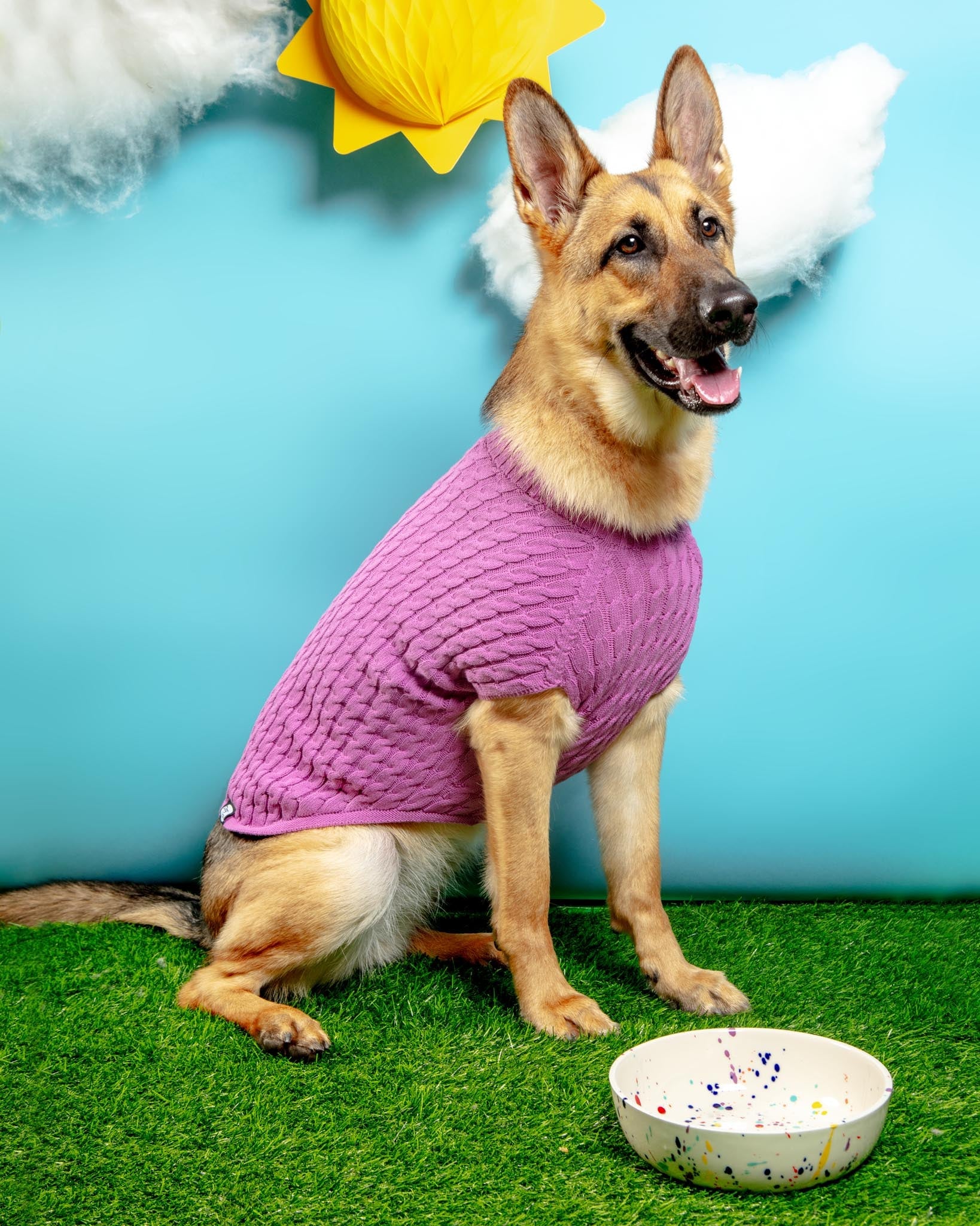 Ceramic Pet Bowl in Confetti (Made in the USA)