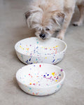 Ceramic Pet Bowl in Confetti (Made in the USA)