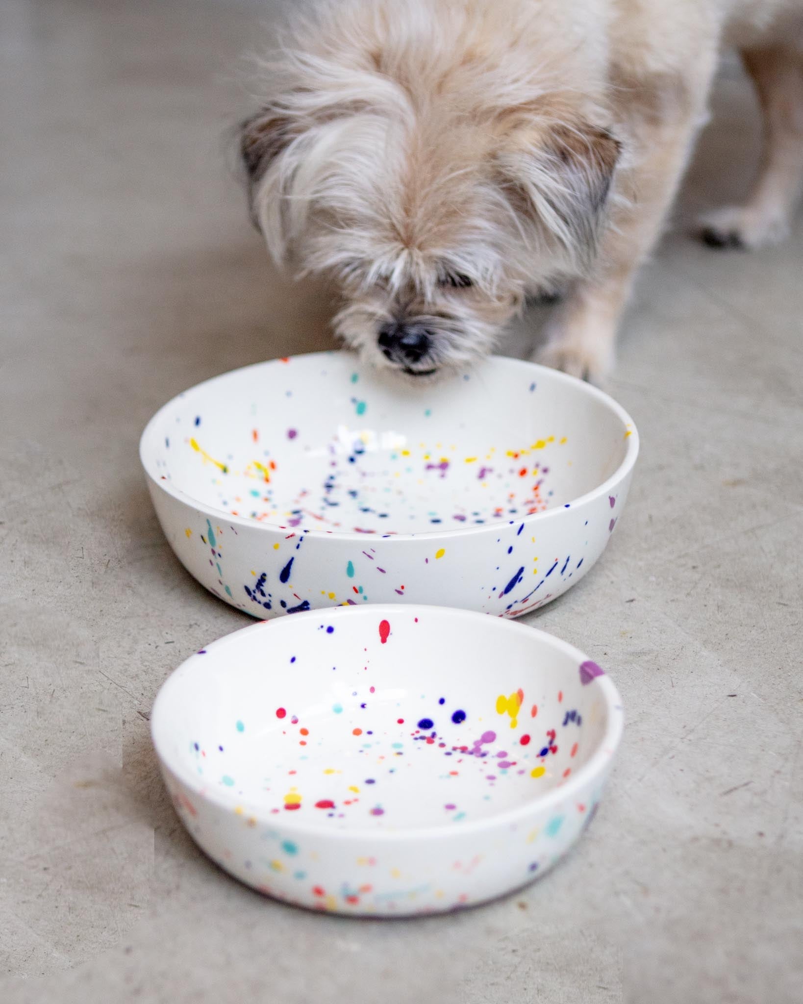Ceramic Pet Bowl in Confetti (Made in the USA)