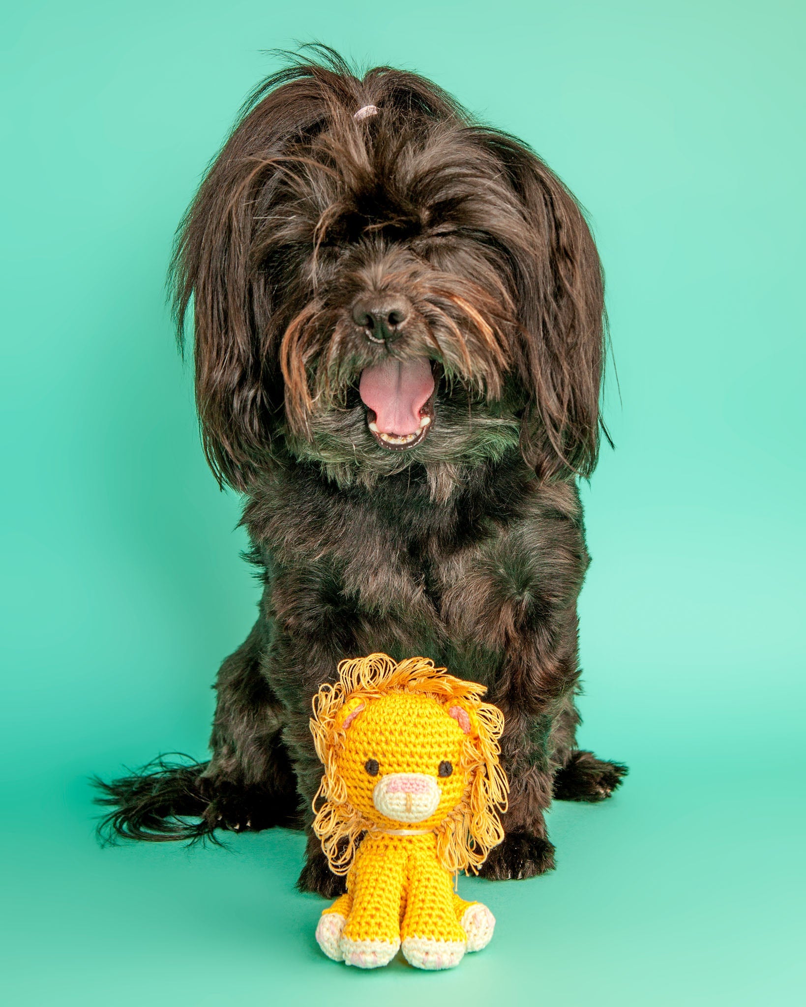 Lion Organic Knit Dog Toy