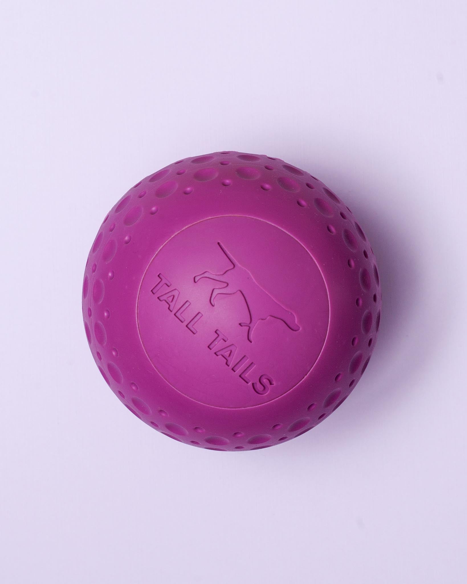 Rubber Floating Dog Ball Toy