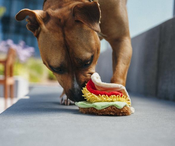 Taco Tuesday Crinkle & Squeaky Dog Toy
