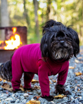 Stretch Fleece Onesie with Shawl Collar in Garnet (Made in the USA, DOG & CO. + GOLD PAW Exclusive!)