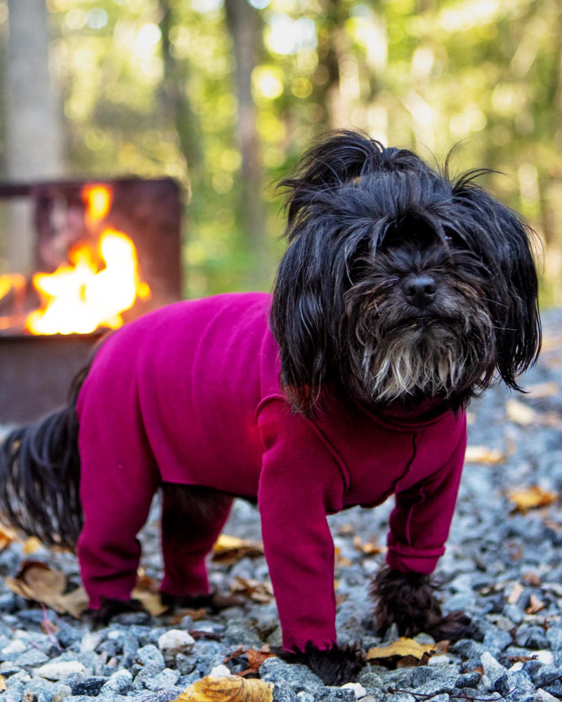 Stretch Fleece Onesie with Shawl Collar in Garnet (Made in the USA, DOG & CO. + GOLD PAW Exclusive!)