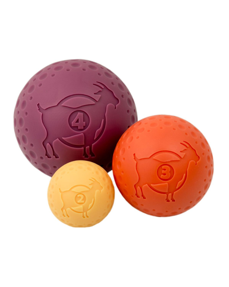 Rubber Floating Dog Ball Toy