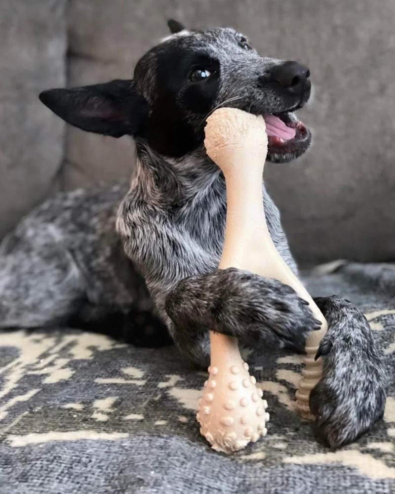 TOUGH All Natural Eco-Friendly Dog Chew Toy (Beef Flavor - Hard)