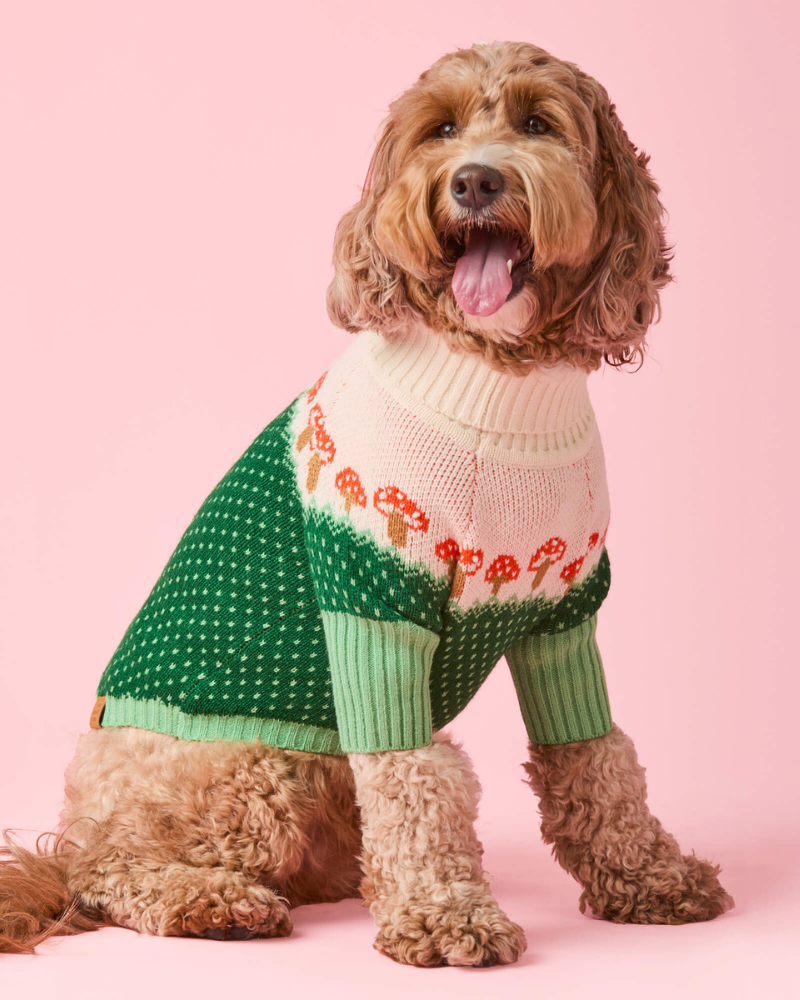 Mushroom Toadstool Knit Dog Sweater