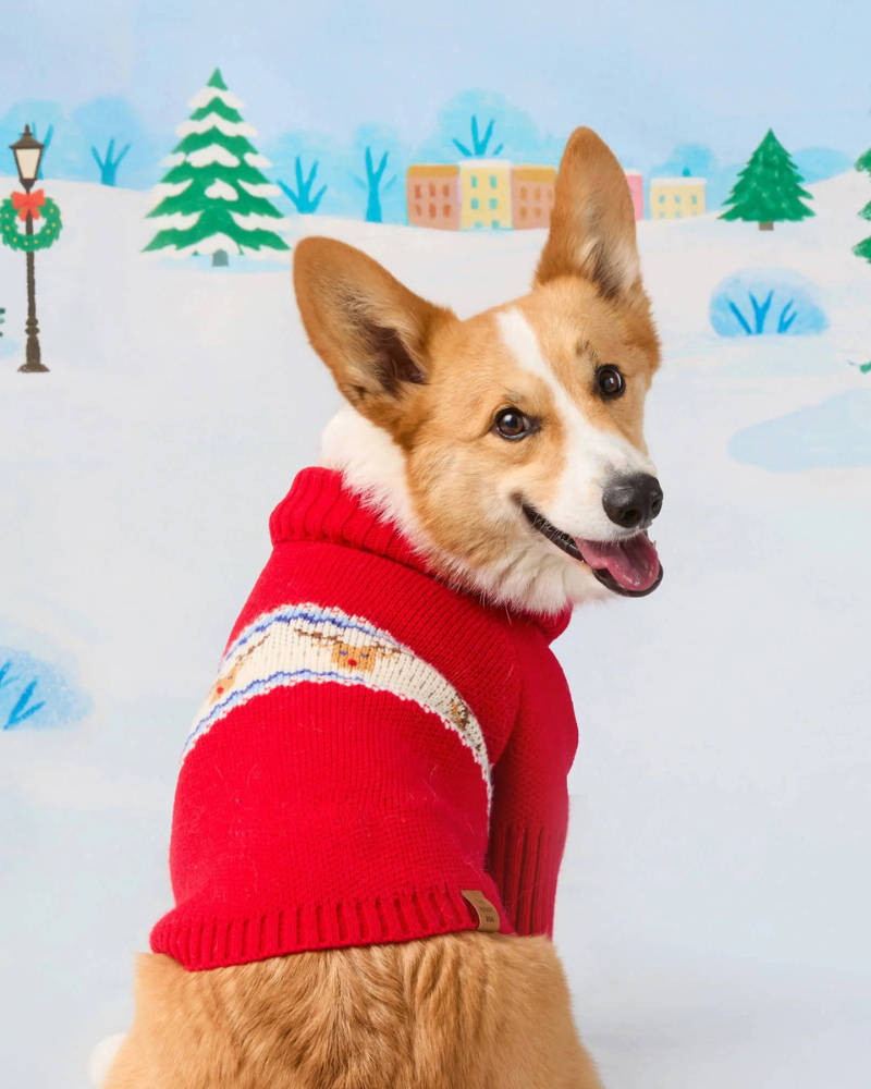 Reindeer Fair Isle Dog Sweater