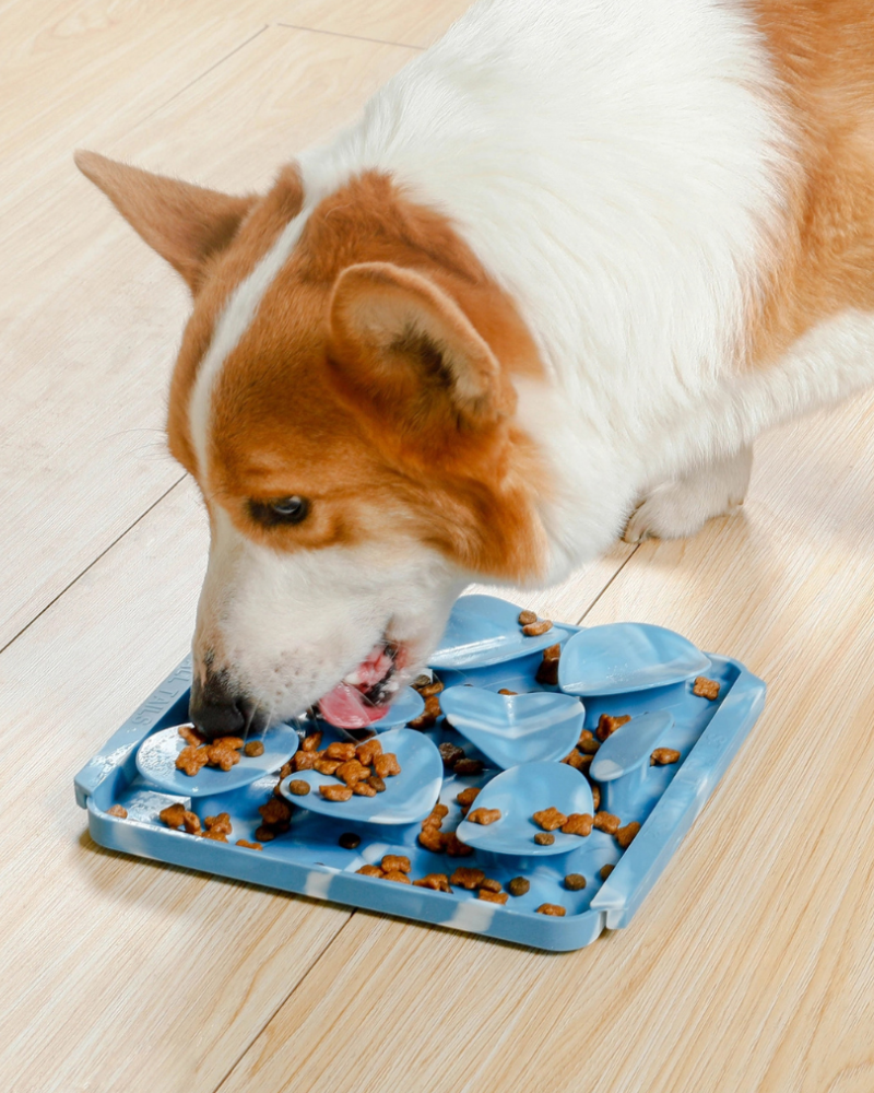 Rock Foraging Mat For Dogs