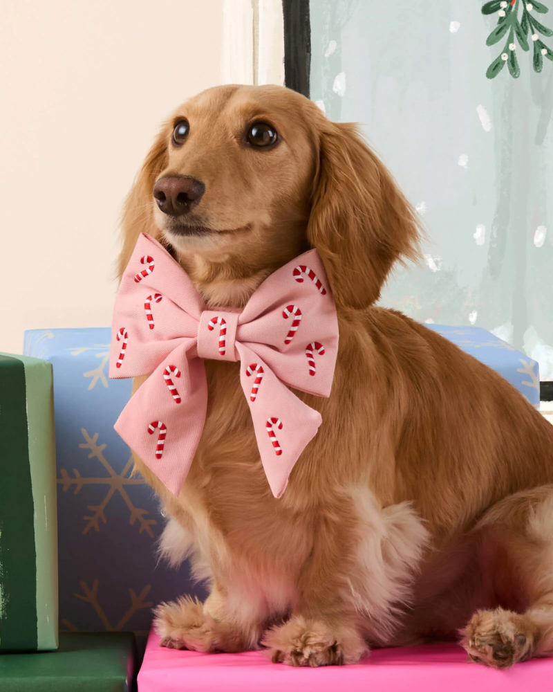 Blush Pink Embroidered Candy Canes Lady Dog Bow (Made in the USA)