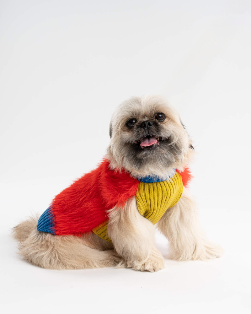 Faux Fur Dog Sweater in Poppy
