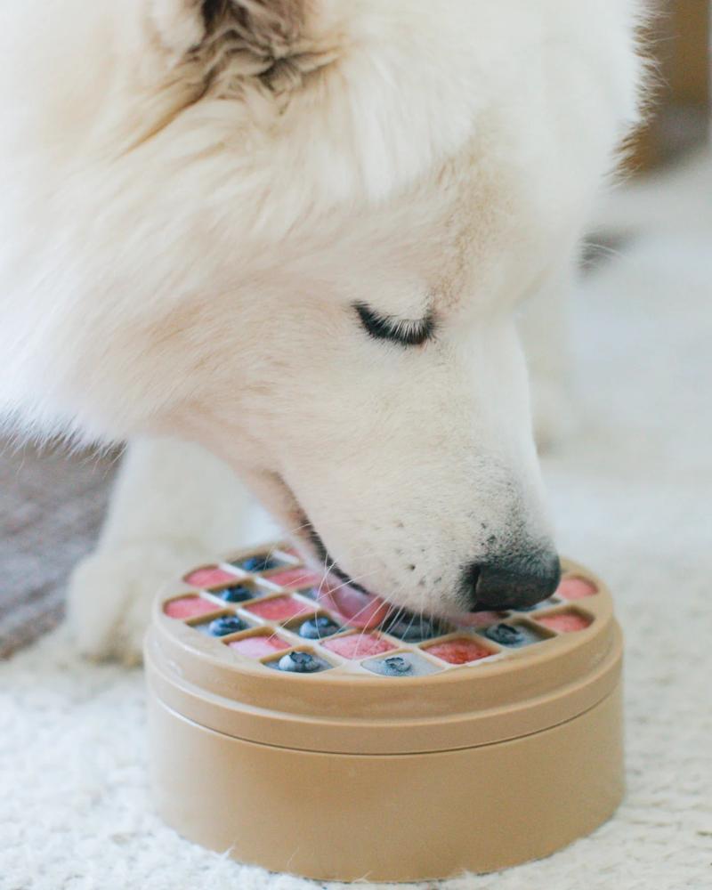 3-in-1 Bento Elevated Slow Feeder + Lick Mat