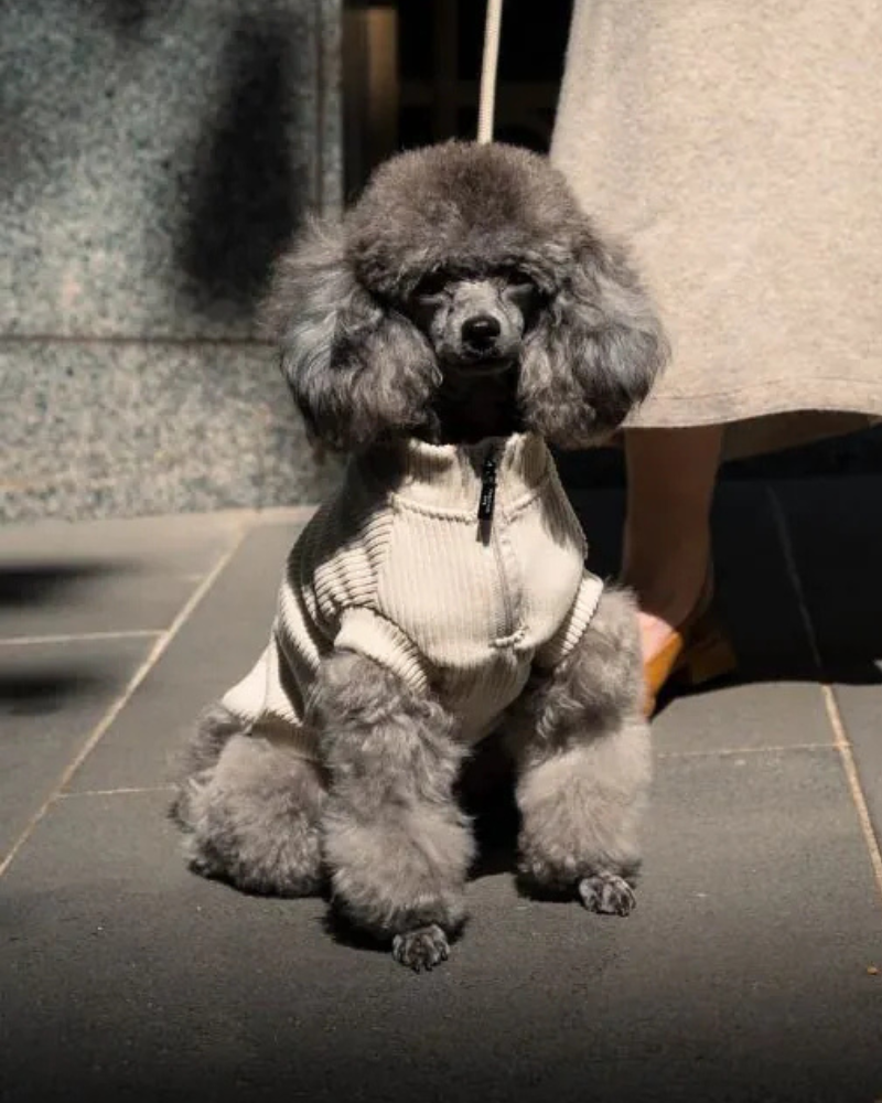 Ribbed Knit Dog Pullover in Sandstone