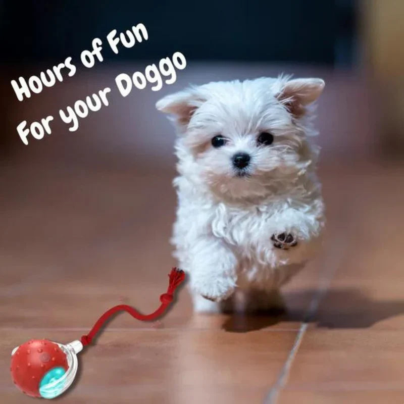 Tiny Fetch Motion Dog Toy