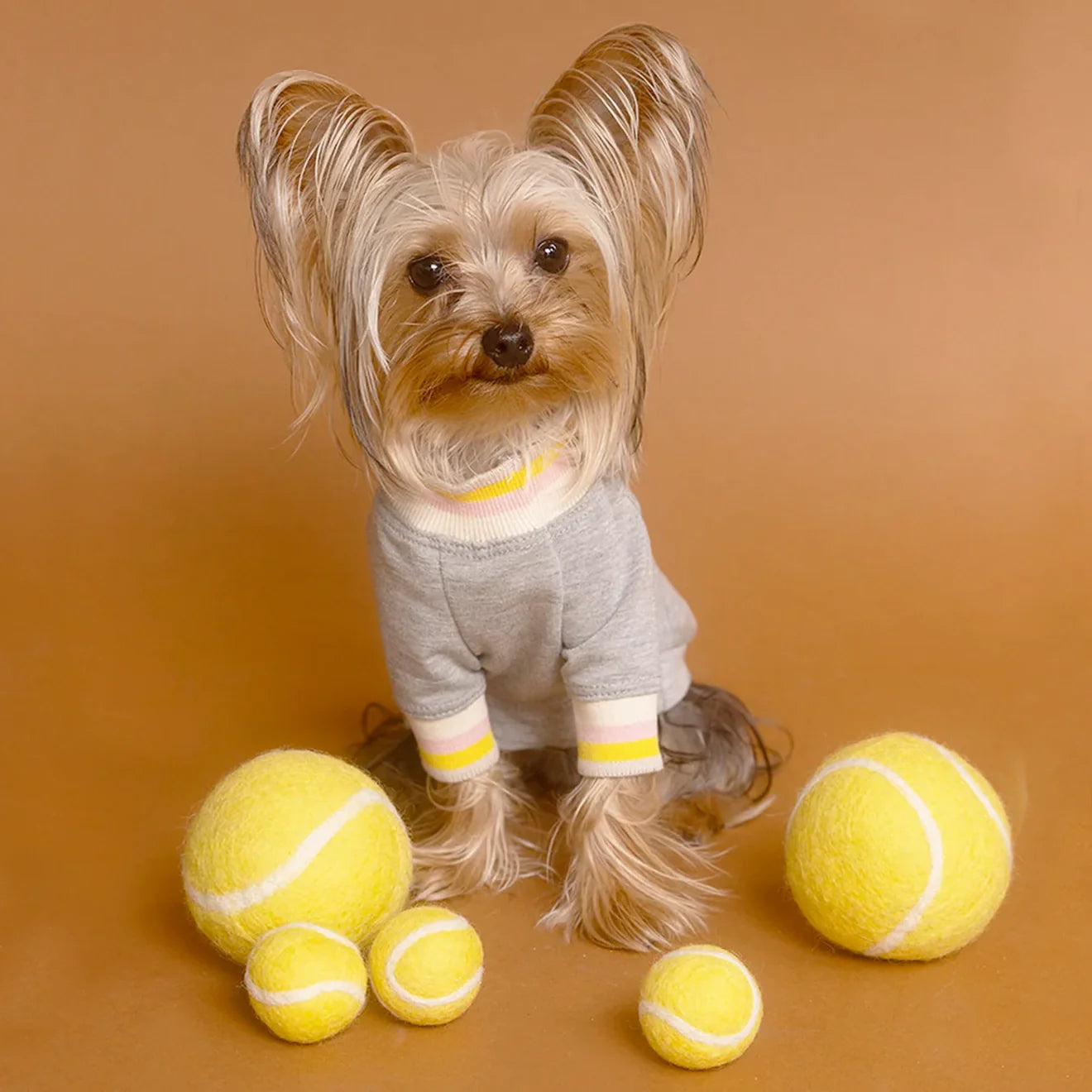 Wool Tennis Ball Dog Toy