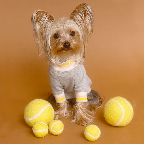 Wool Tennis Ball Dog Toy