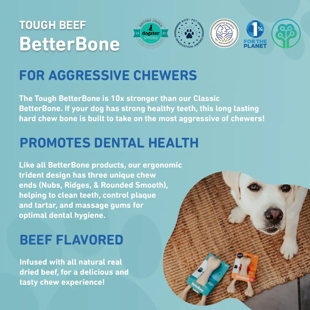 TOUGH All Natural Eco-Friendly Dog Chew Toy (Beef Flavor - Hard)
