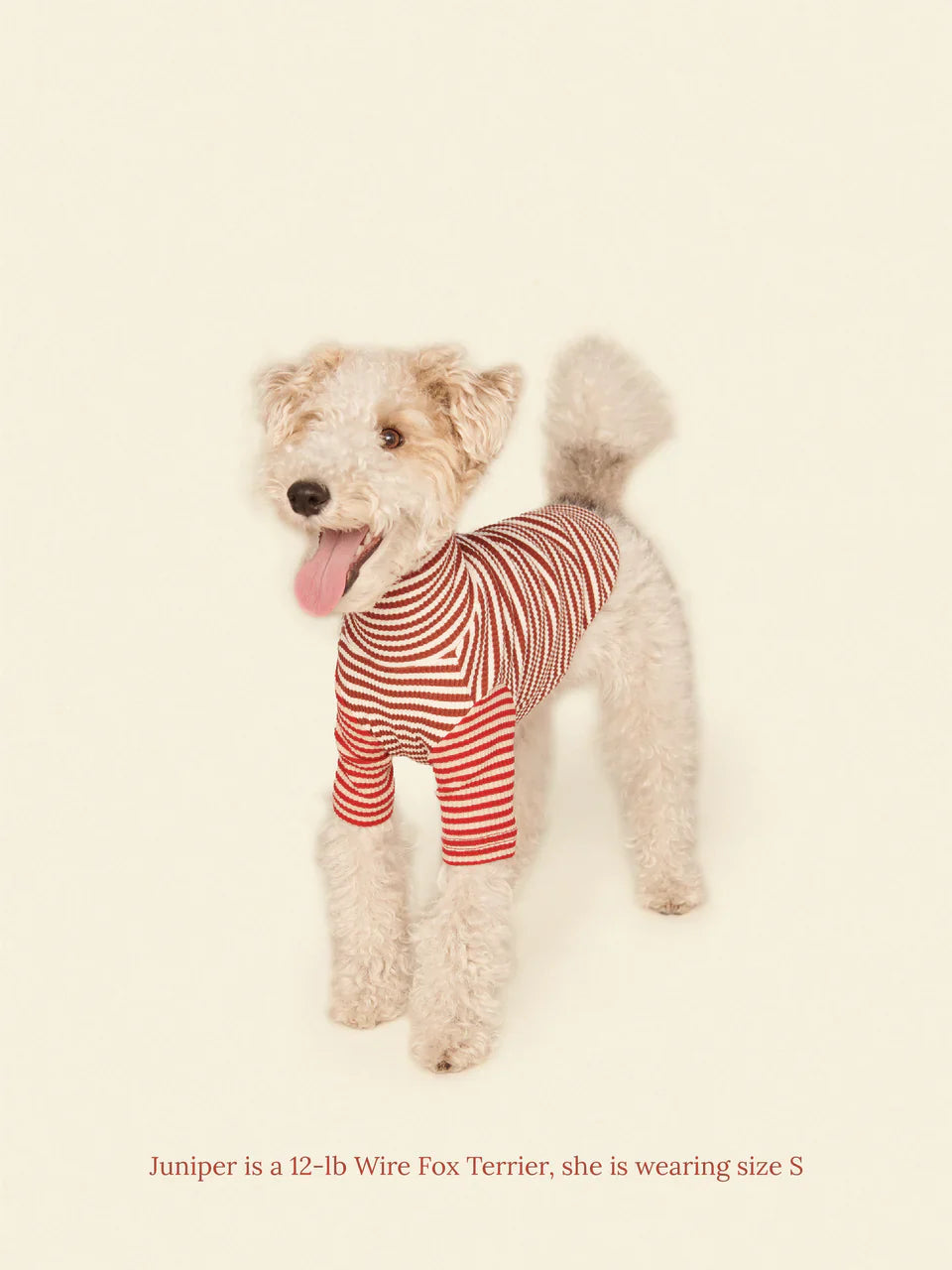 Earth and Fire Ribbed Dog Shirt